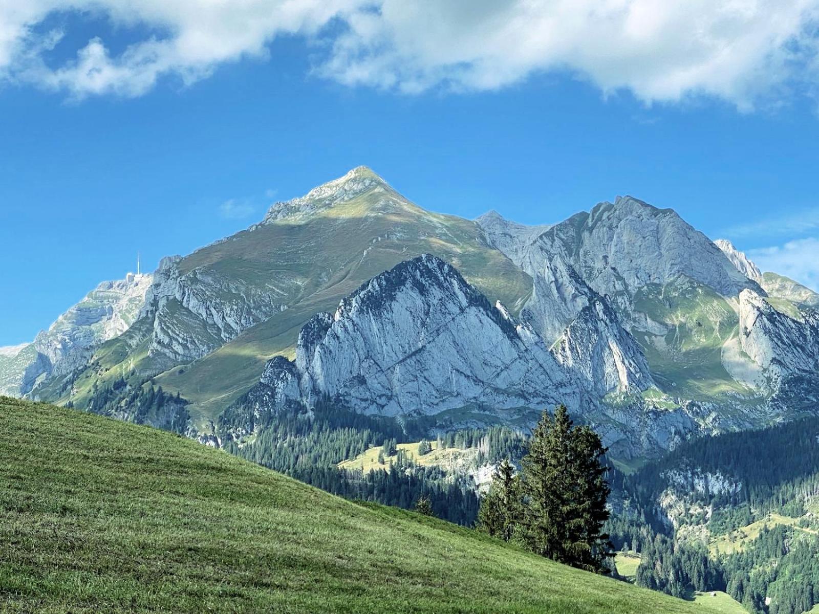 Rietidylle mit atemberaubendem Blick auf die Churfirsten