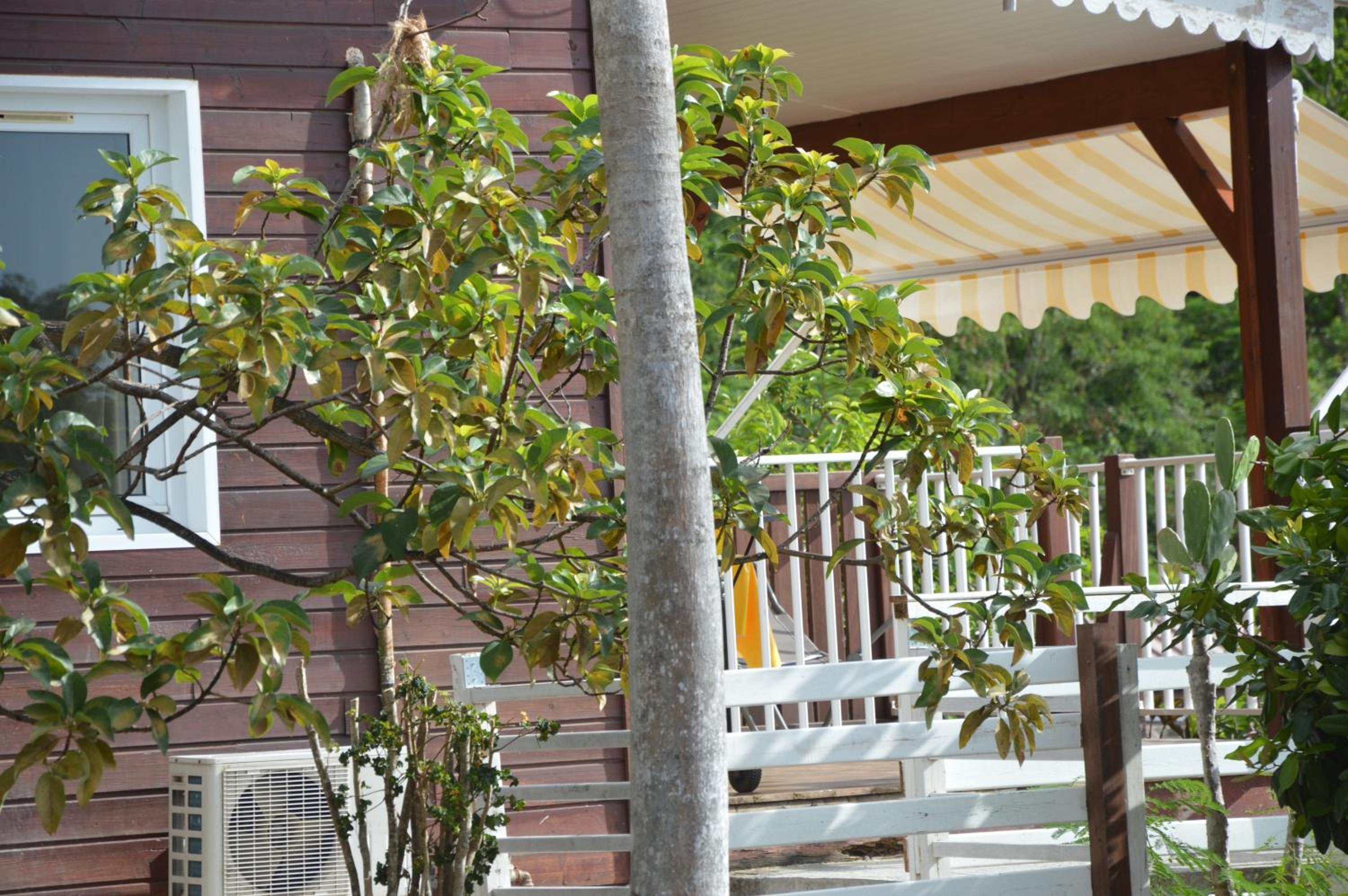 Bungalow enchanteur à Bouillante avec vue sur la mer