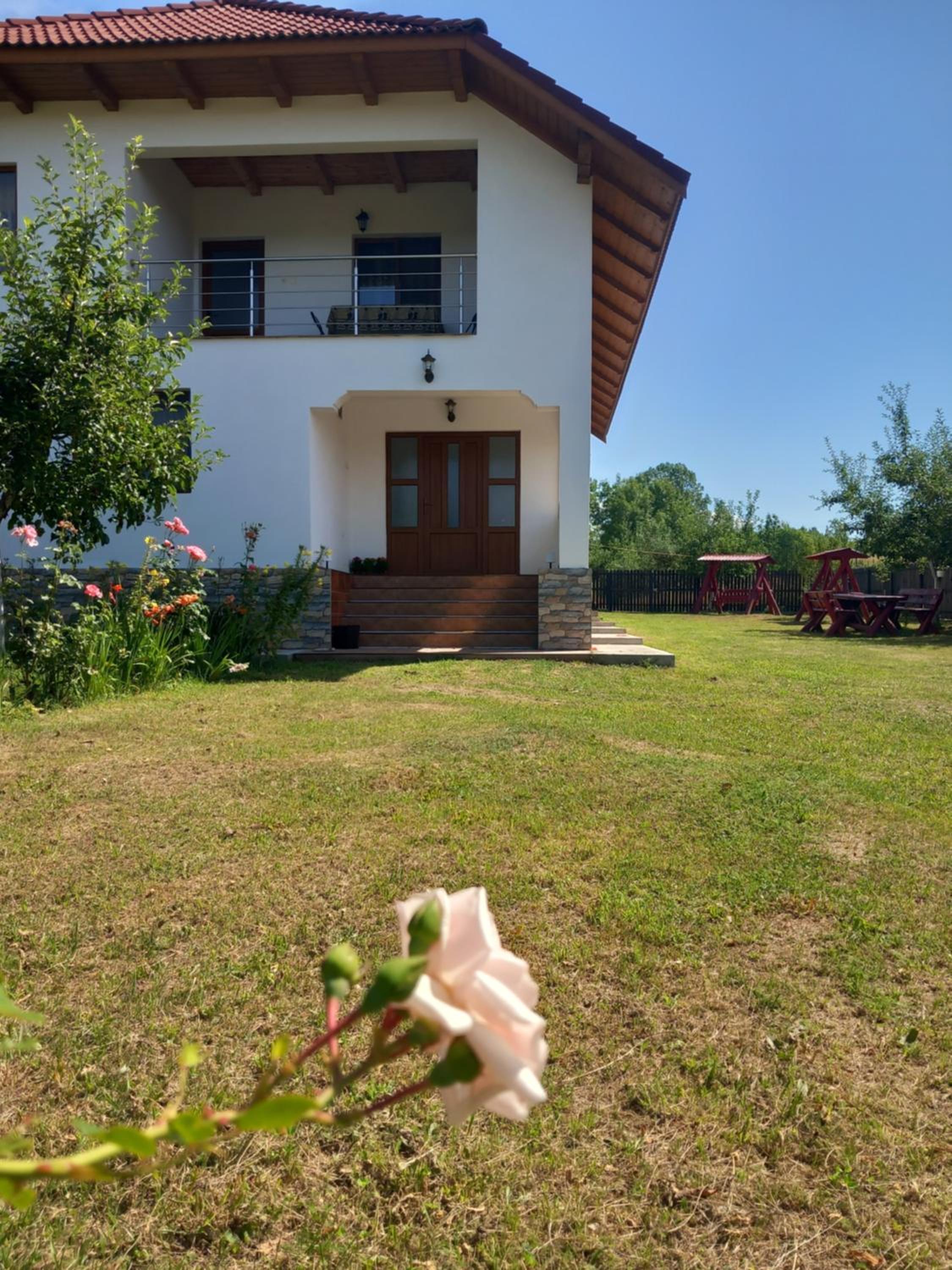 Photo 24