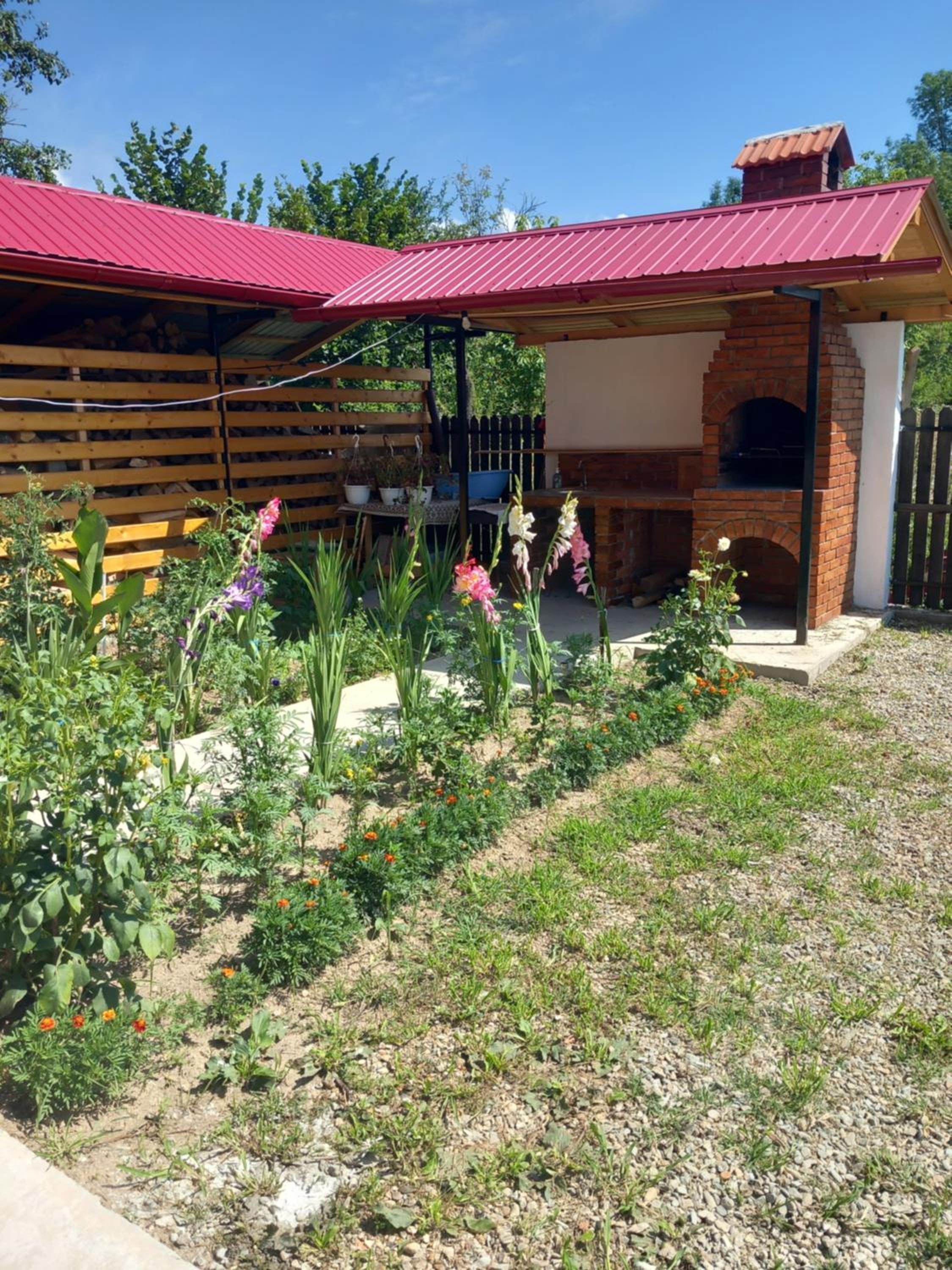 Photo 25