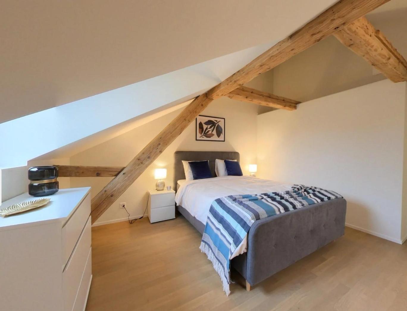 Bright and Airy 1-Bedroom Flats in Neuchâtel City Center! RDM2