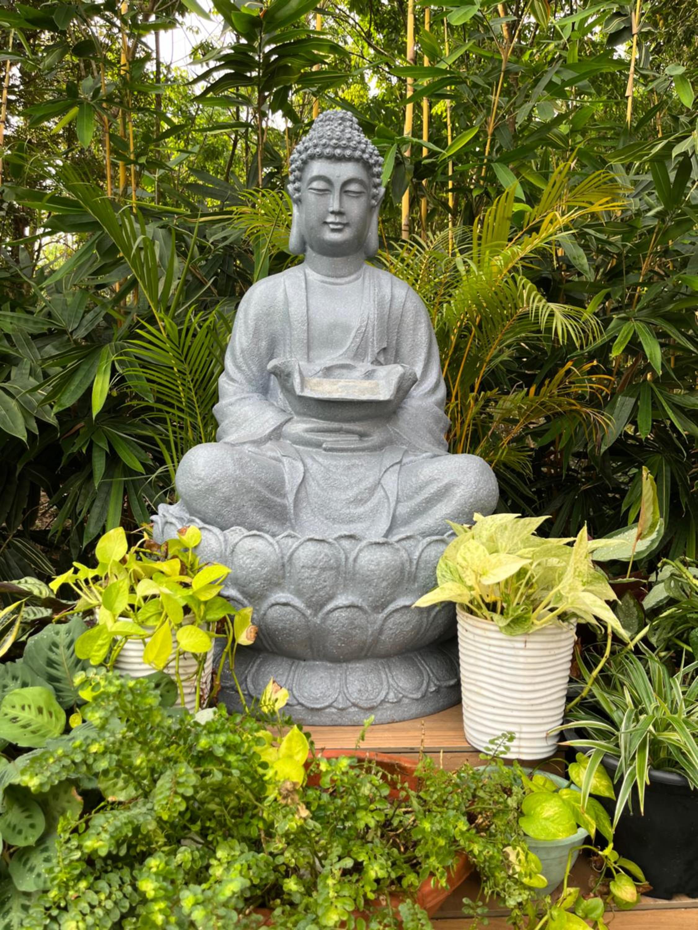 Samrudhi Farm Resort