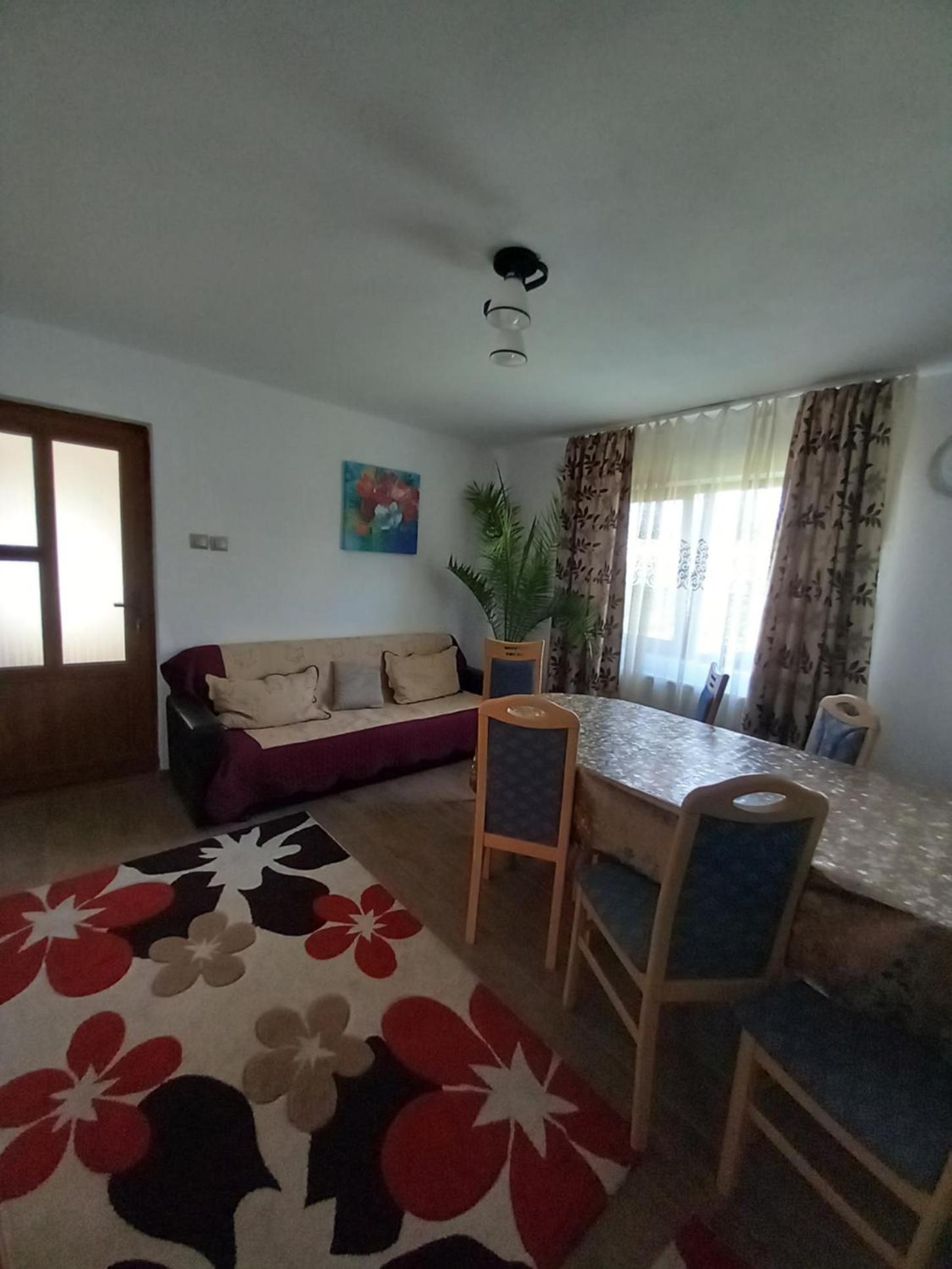 CASA LAVINIA CRASNA GORJ view 2