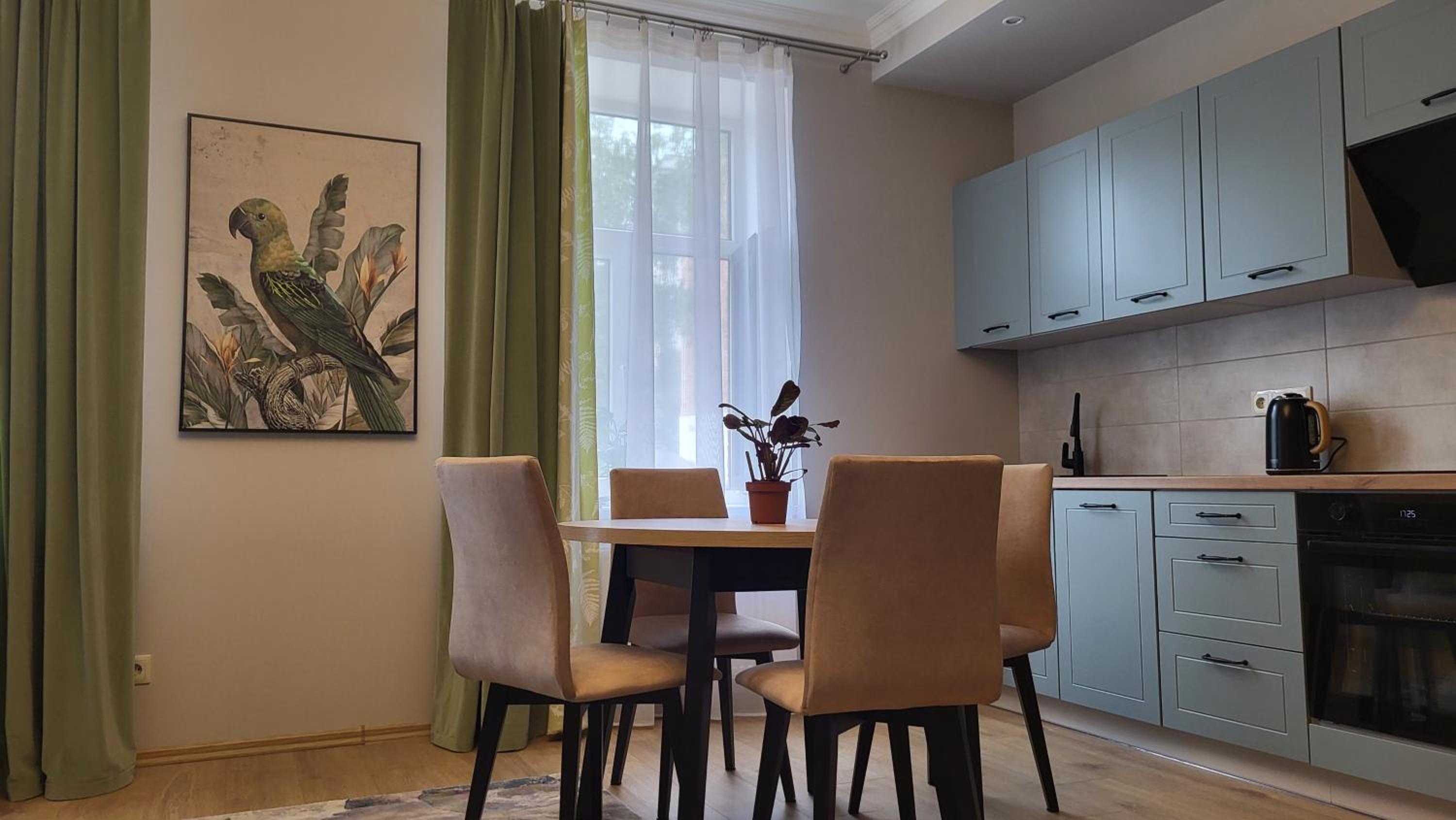 Apartment on Brivzemnieka view 2