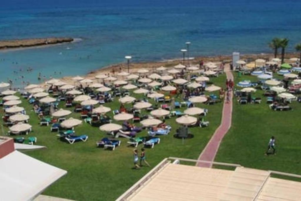 Maison Diana - Tourism license 6990