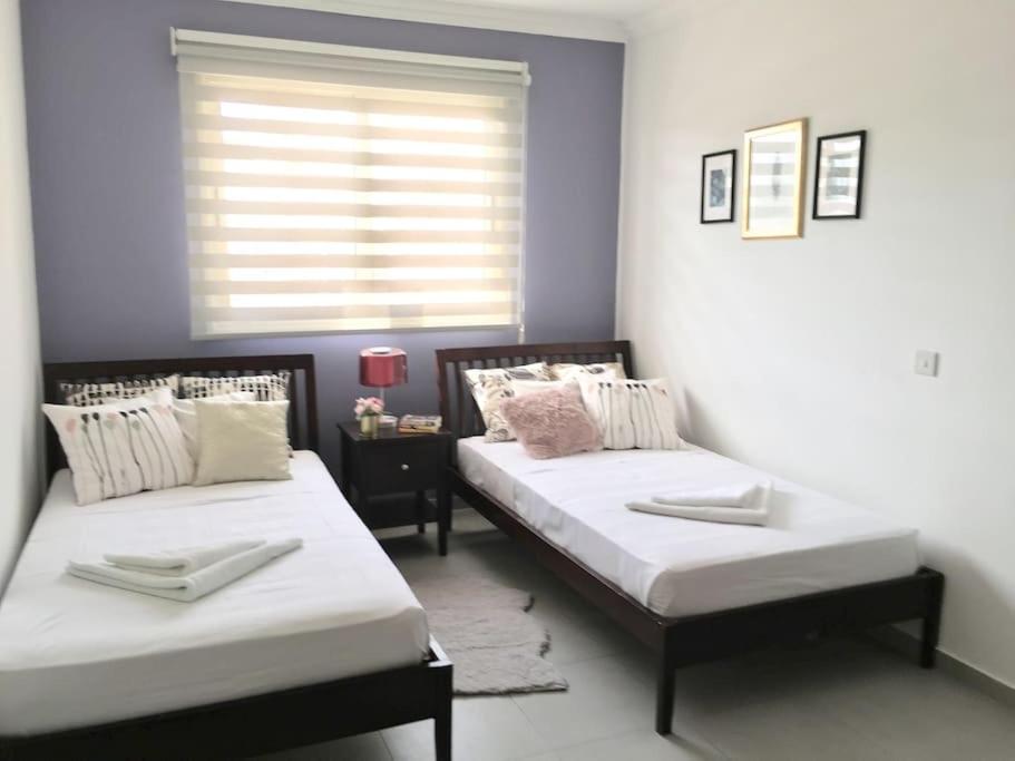 Isabelle Suite at Nava Seaside-License 3124