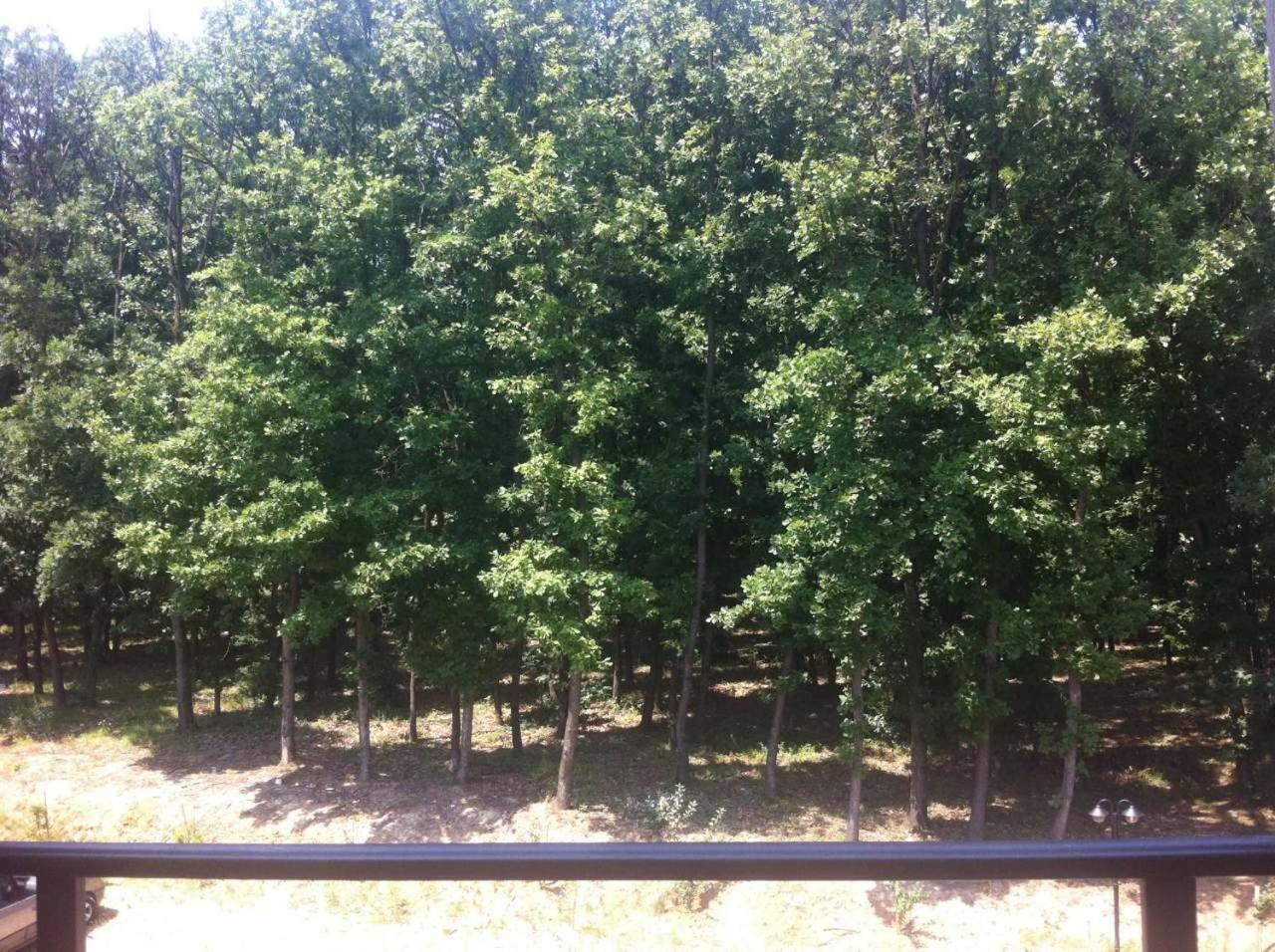 Apartman Sanja 2