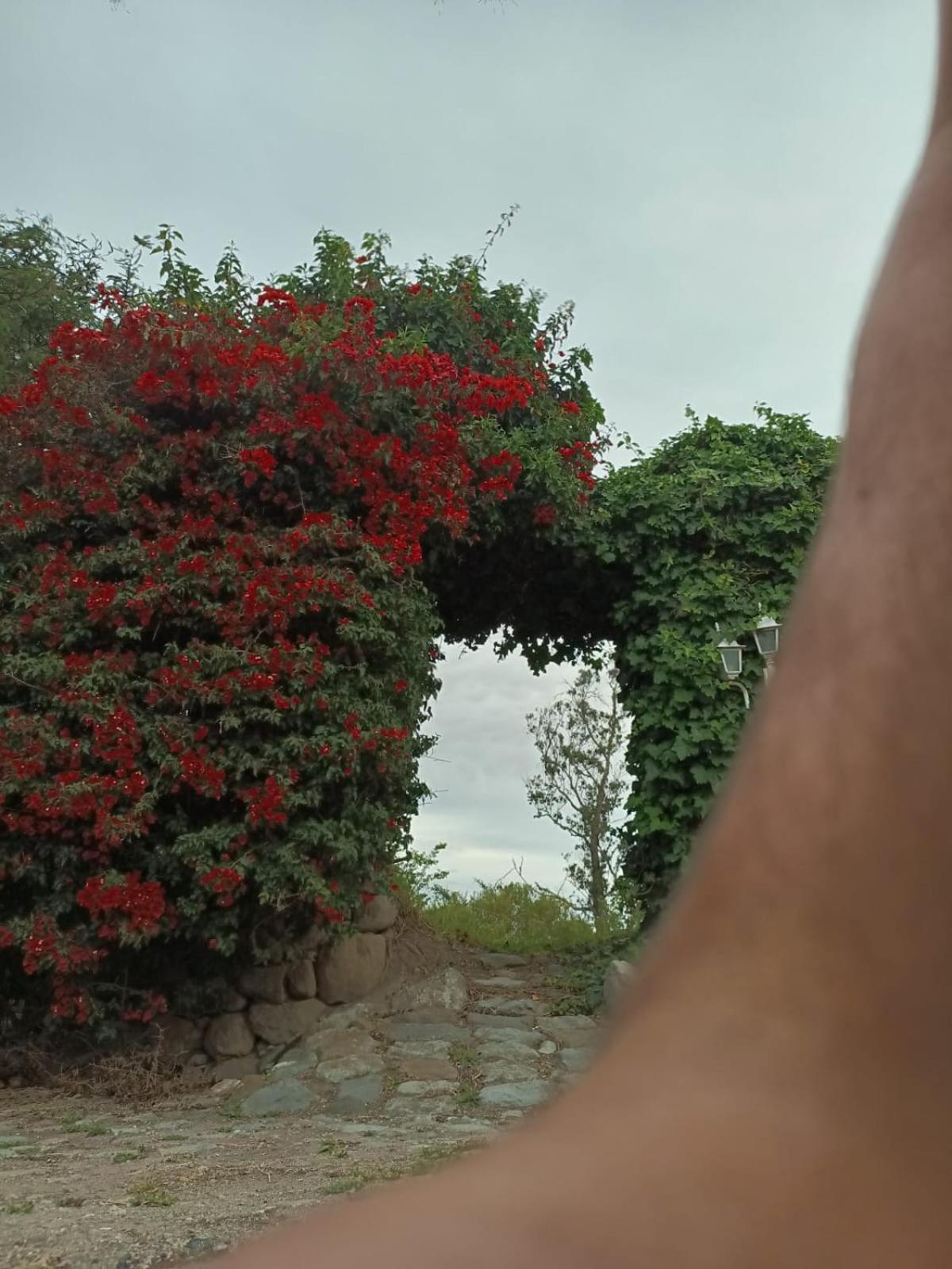 La vieja Hacienda