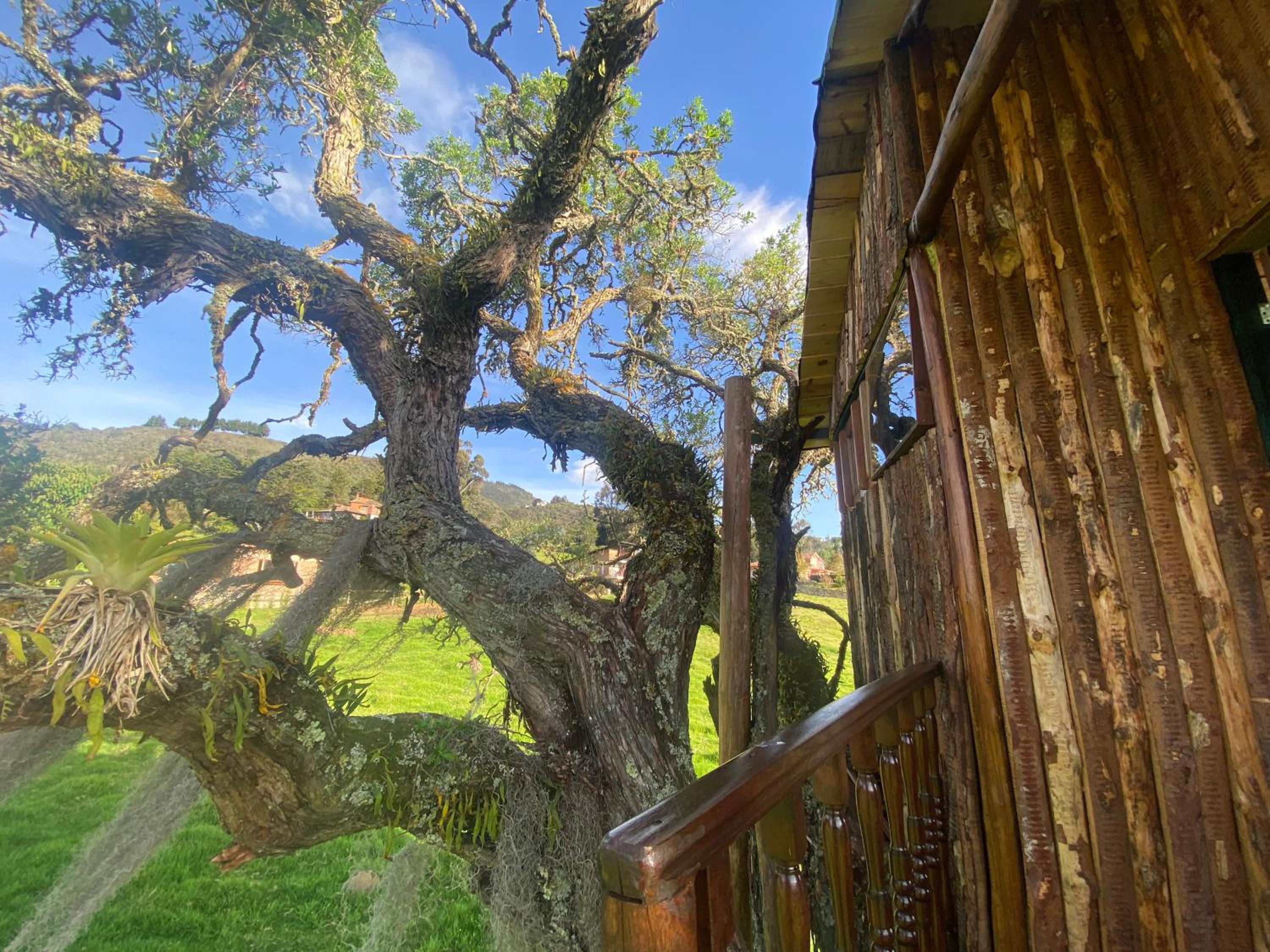 Casa del árbol Amadeus Guatavita