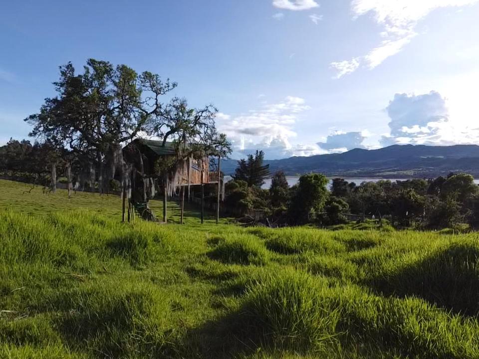 Casa del árbol Amadeus Guatavita