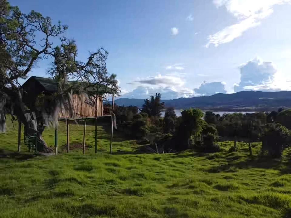 Casa del árbol Amadeus Guatavita