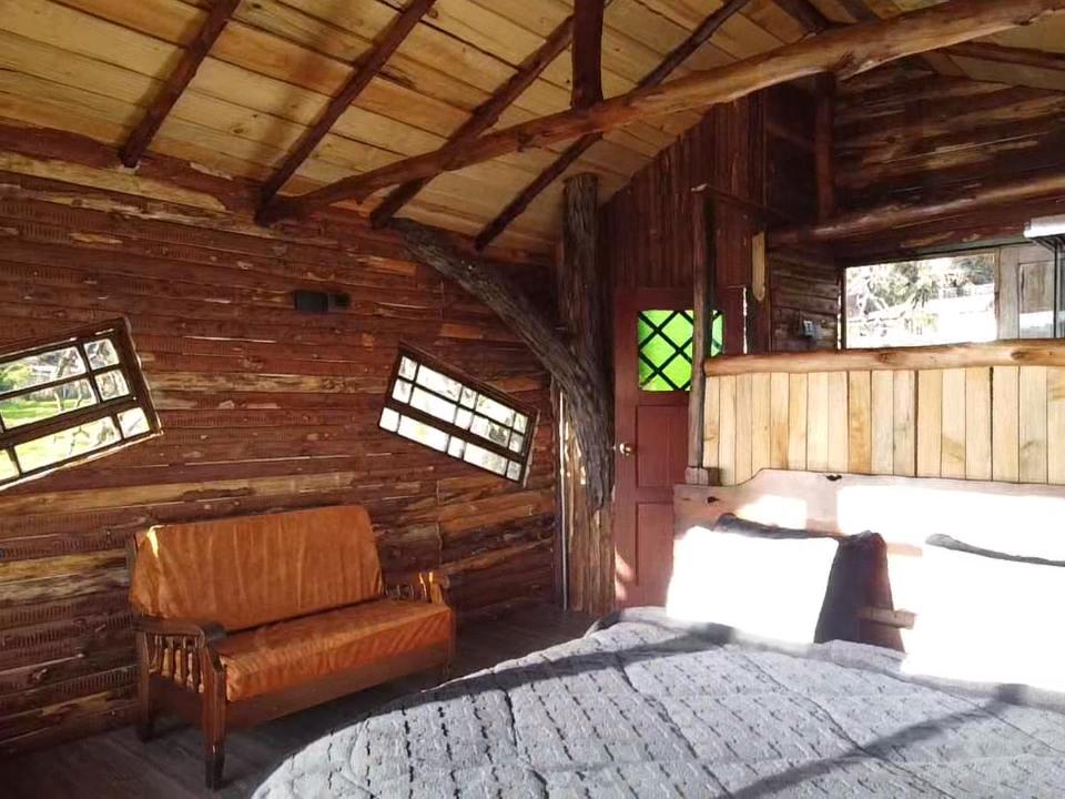 Casa del árbol Amadeus Guatavita