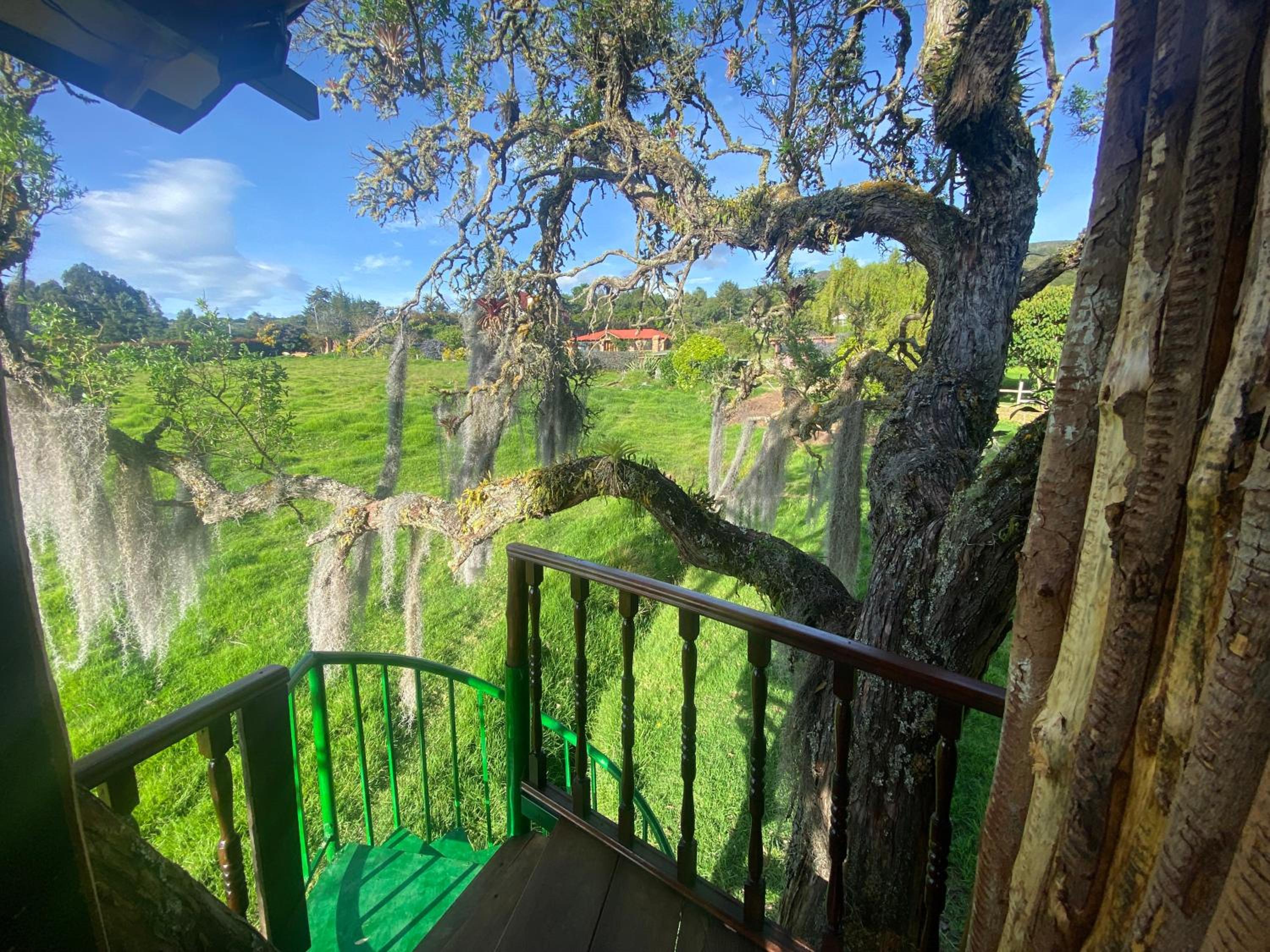 Casa del árbol Amadeus Guatavita