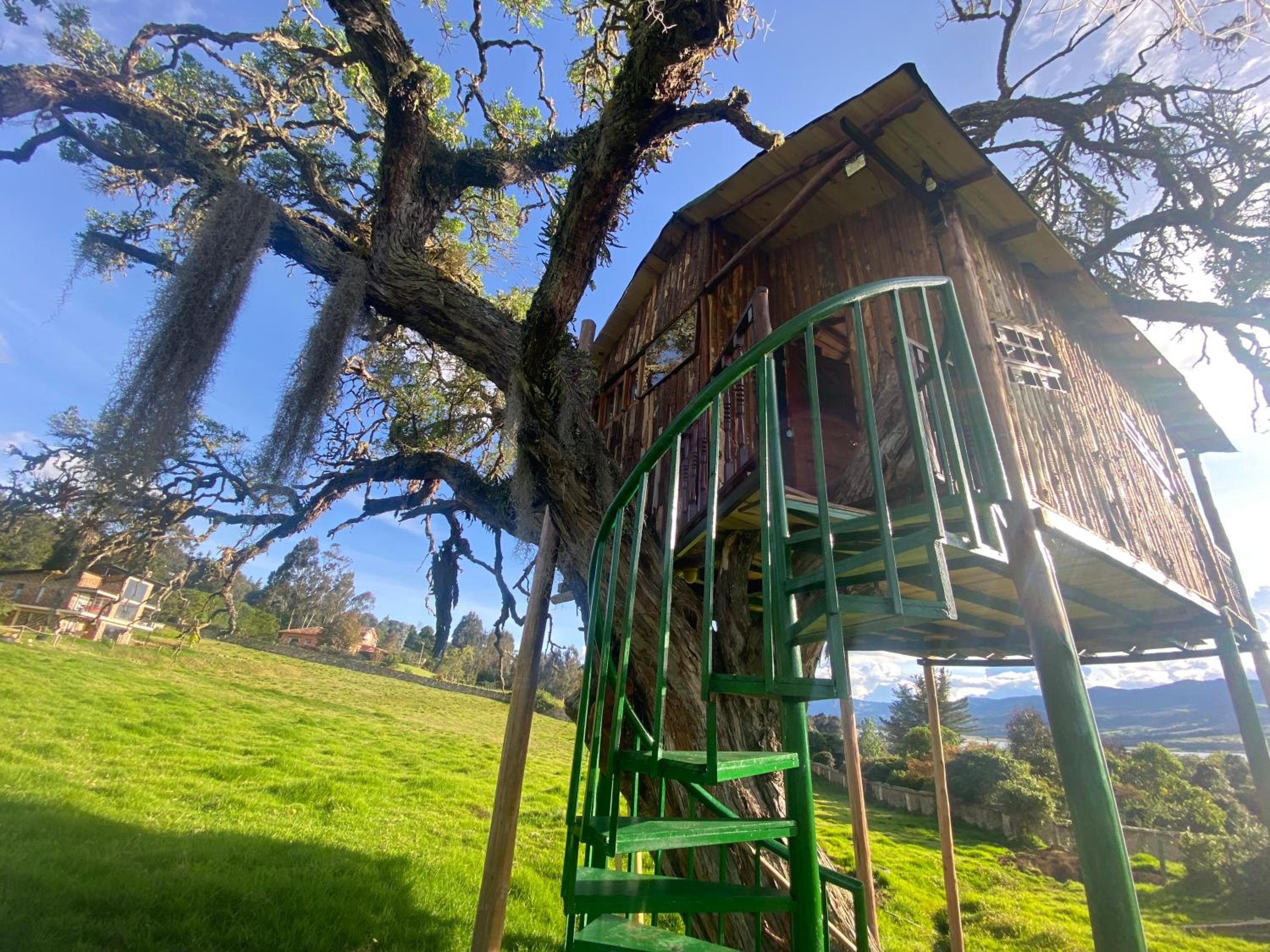 Casa del árbol Amadeus Guatavita