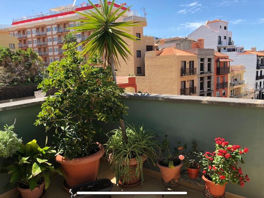 City center Studio penthouse near the beach