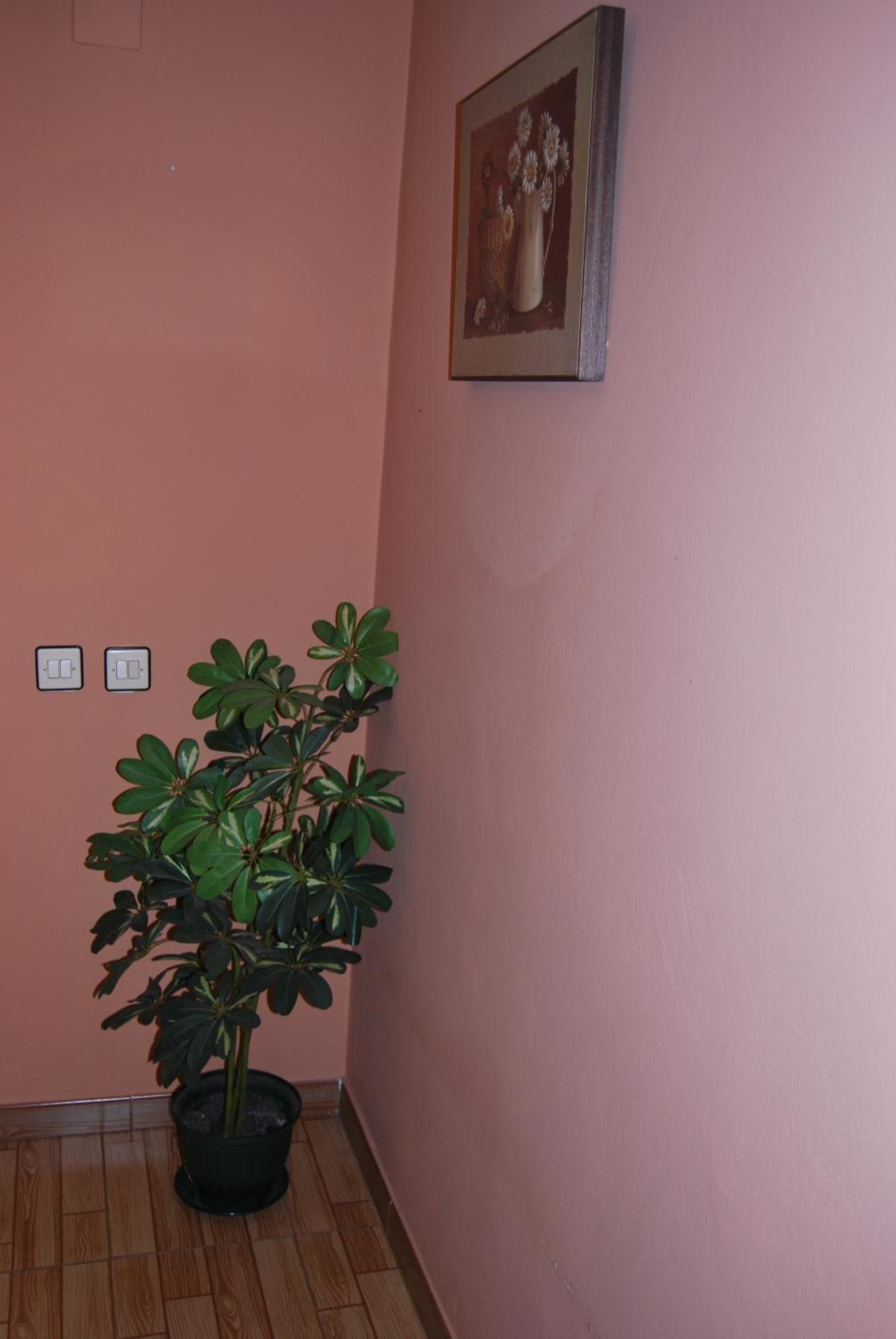 Photo 51