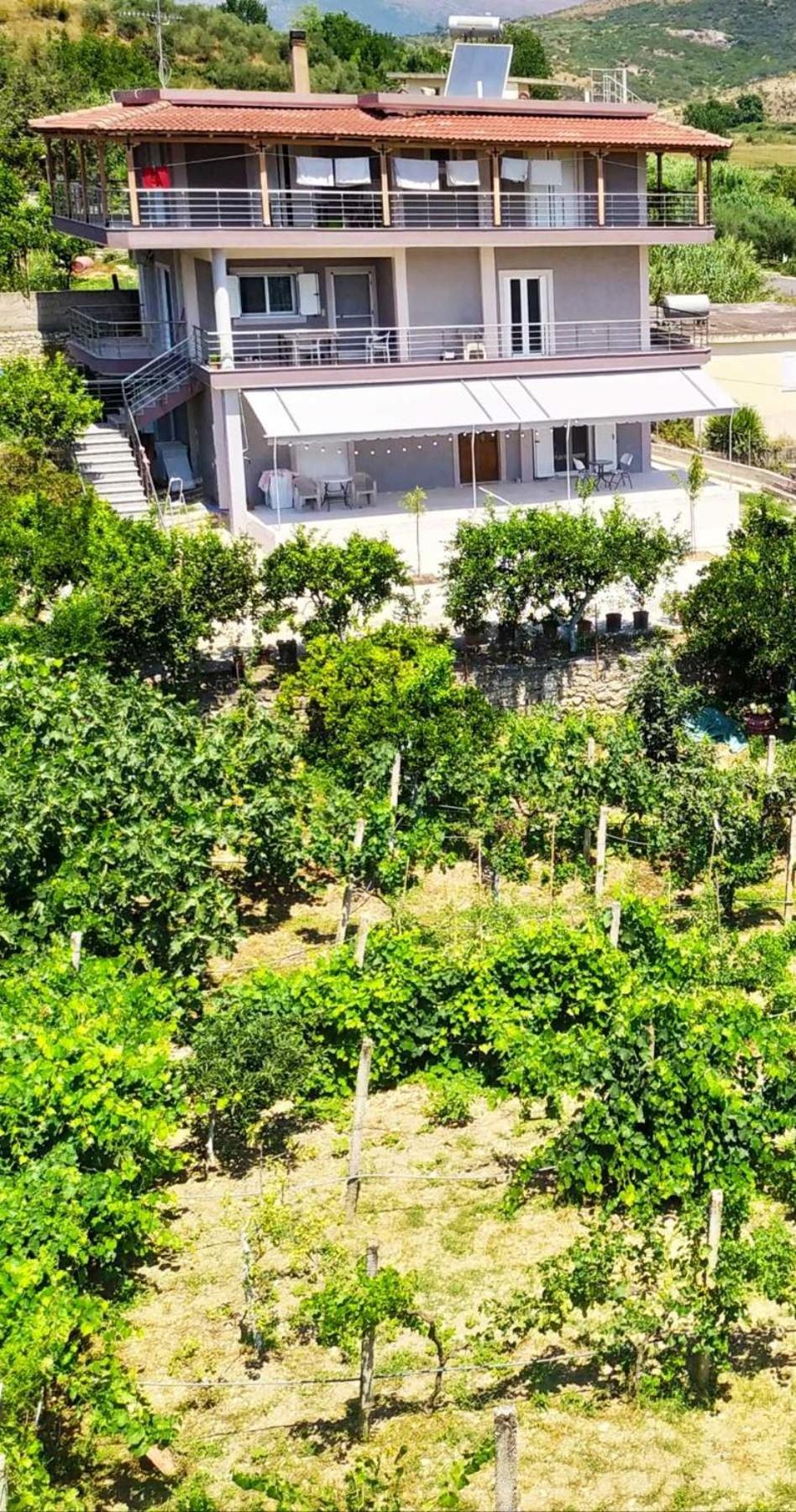 Toma's Guest House