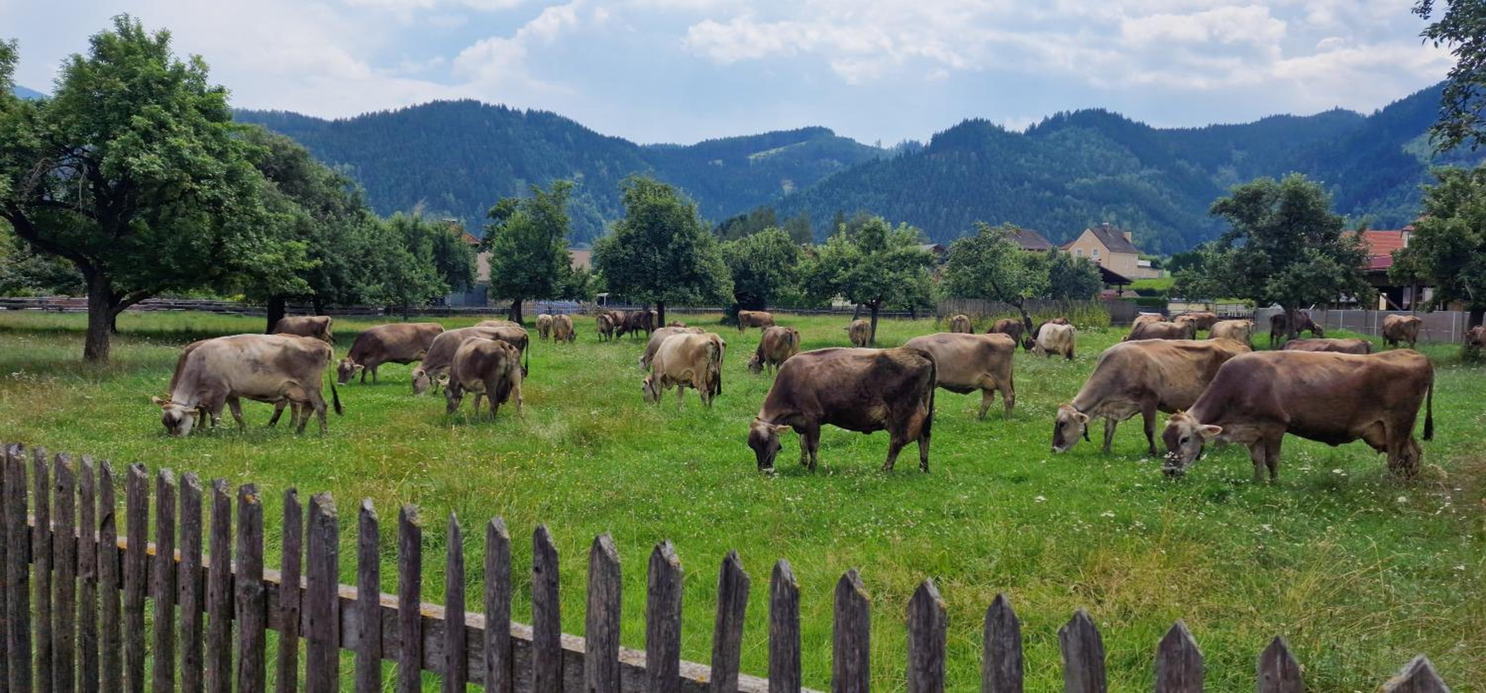 Flat Bull Appartement mit Garten