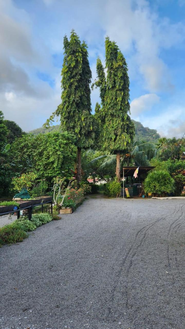 Green self-catering Apartment