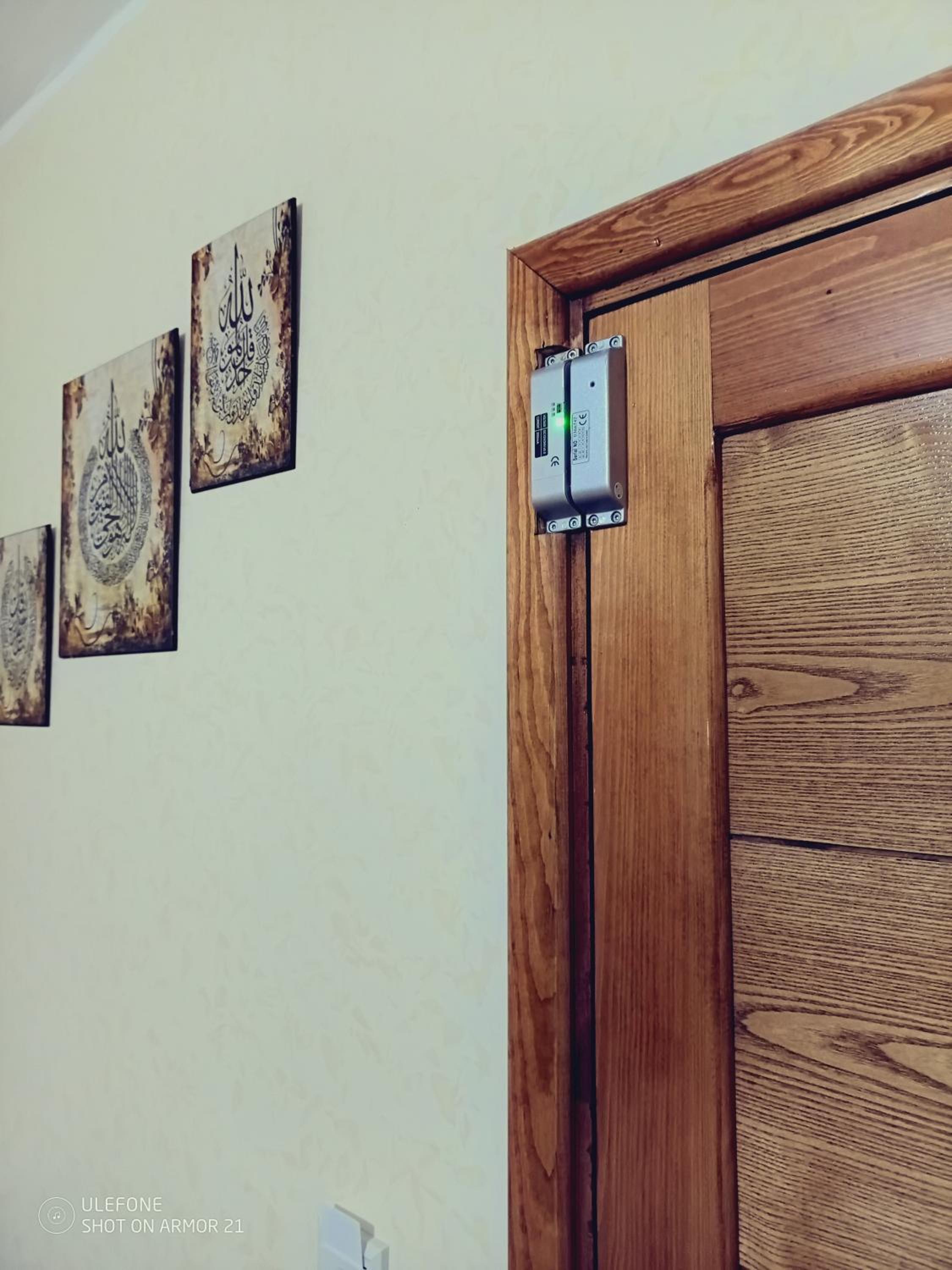 Photo 8