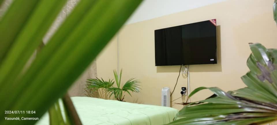 AFRIEUROTEXT Kamerun-High Standing-Appartements-Wifi-Security-Restaurant-modern Kitchen