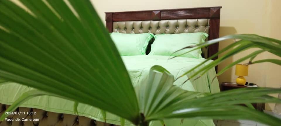 AFRIEUROTEXT Kamerun-High Standing-Appartements-Wifi-Security-Restaurant-modern Kitchen