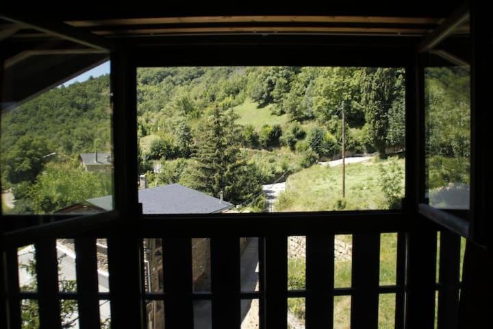La Escuela de Coll view 5