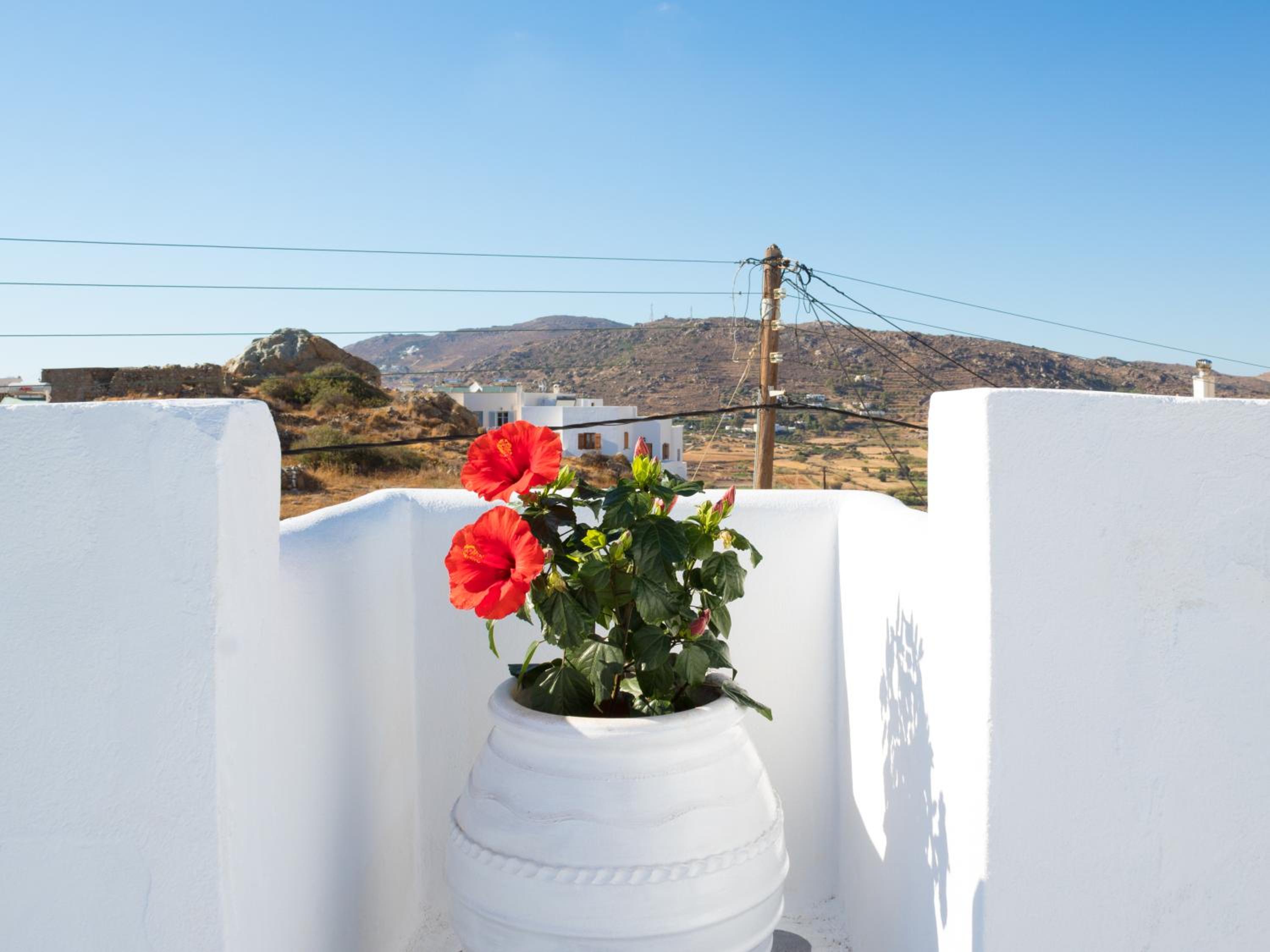 Dafne & Chloe Terrace Studios photo 3