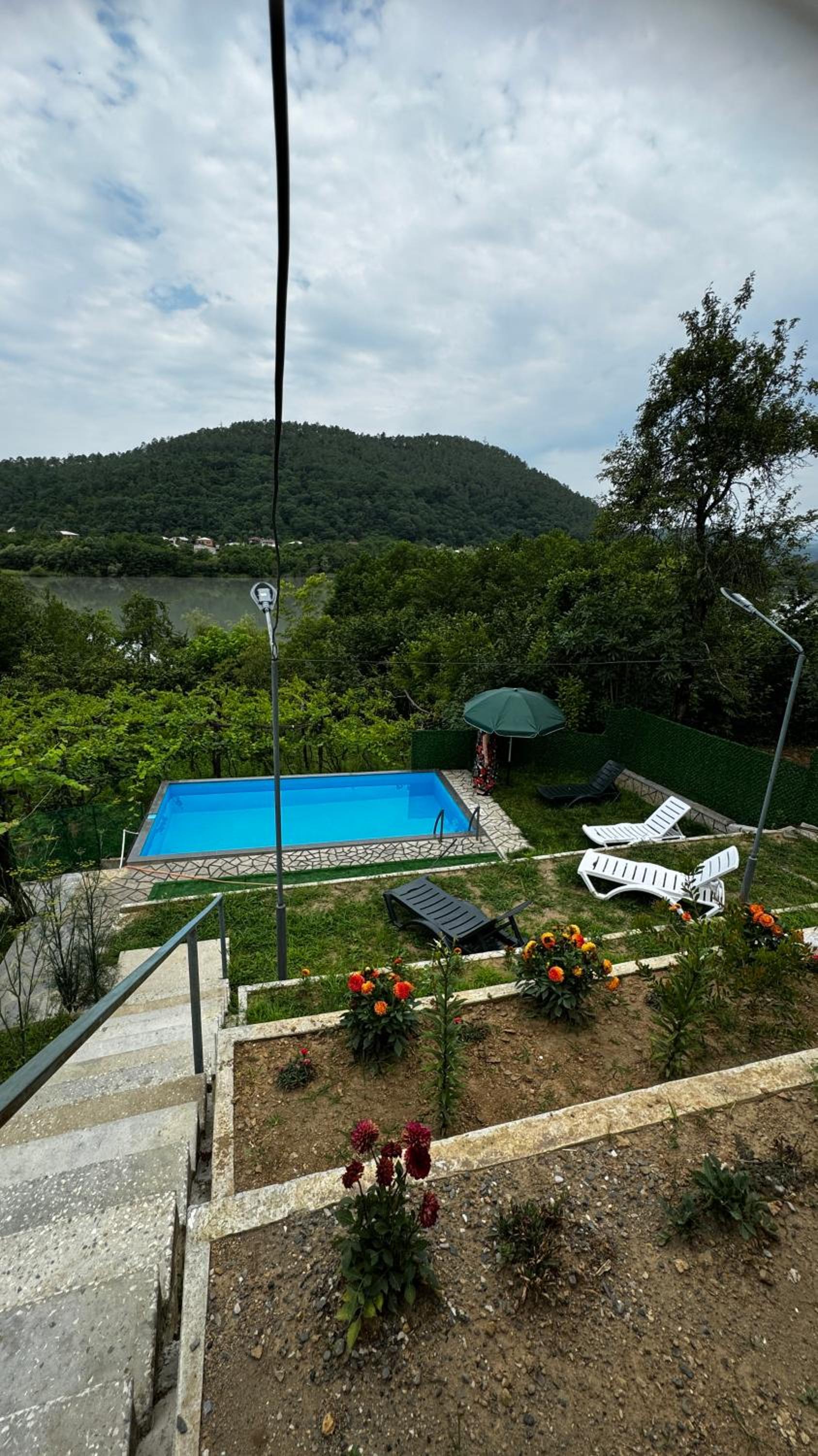 Nature House view 2