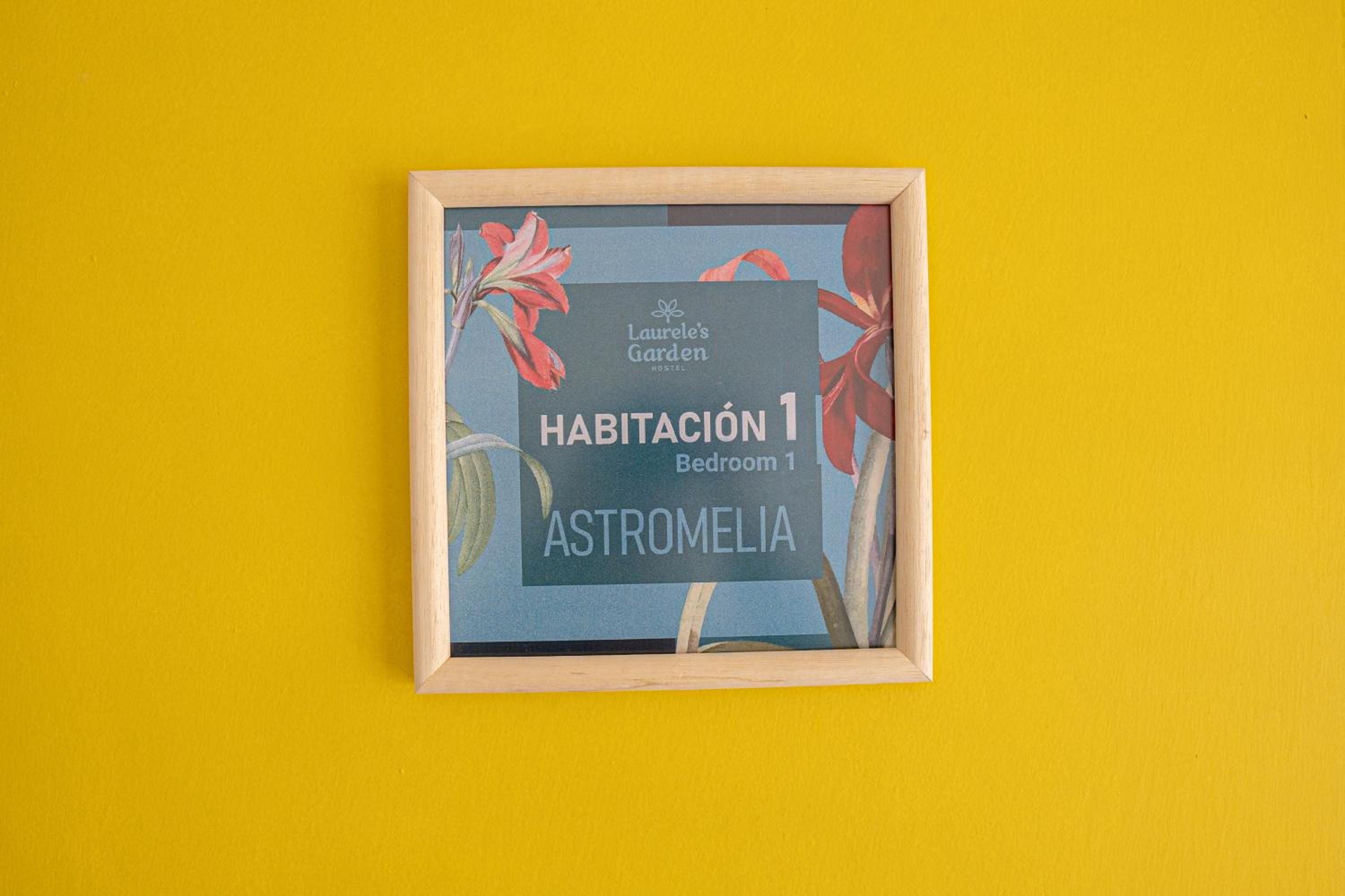 Laureles Garden Hostel