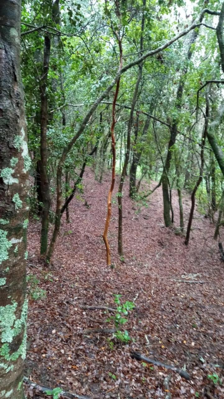 Habitacion Privada en Casa de Huéspedes Club Campo Luna