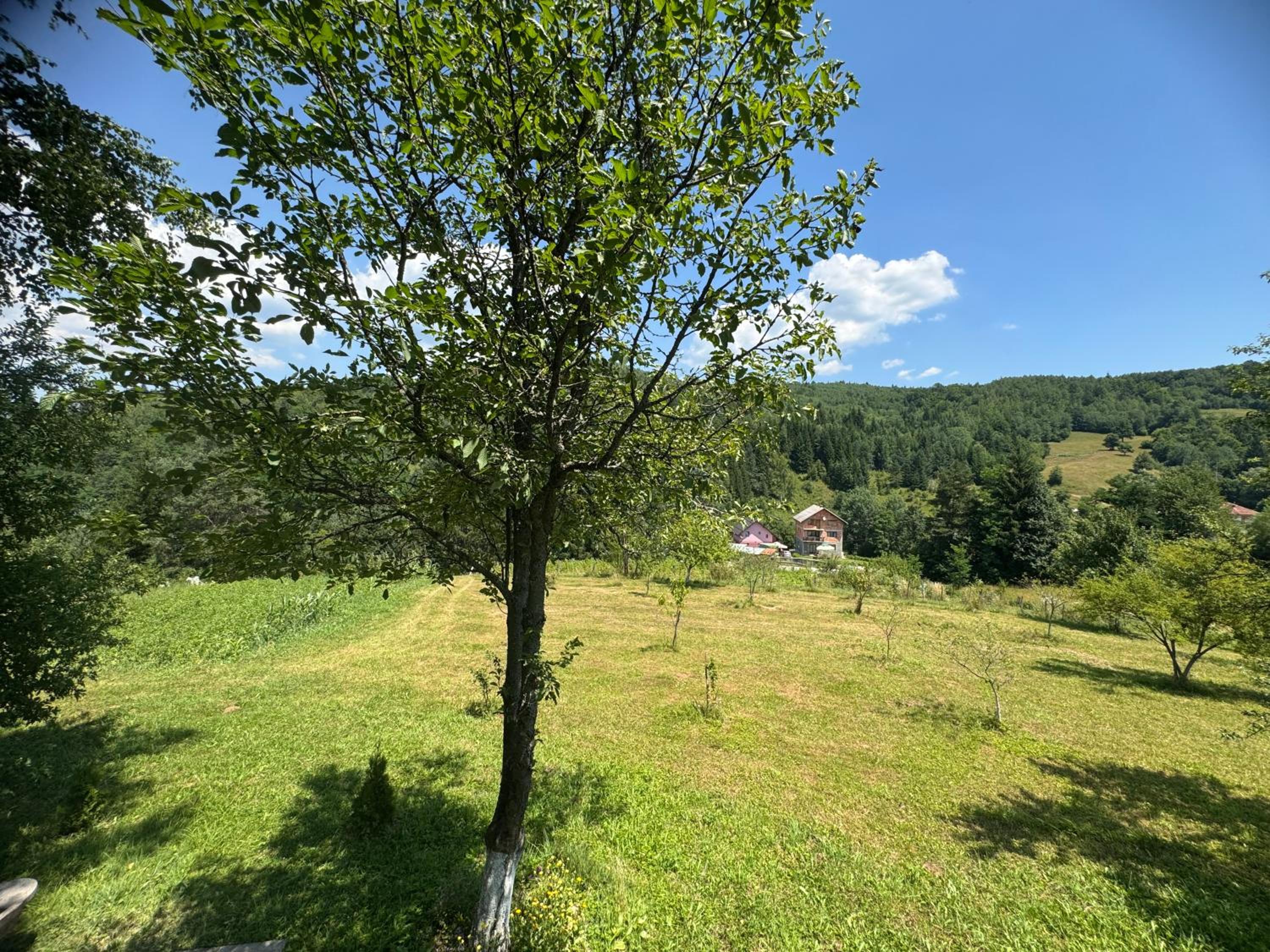 Inn Nature