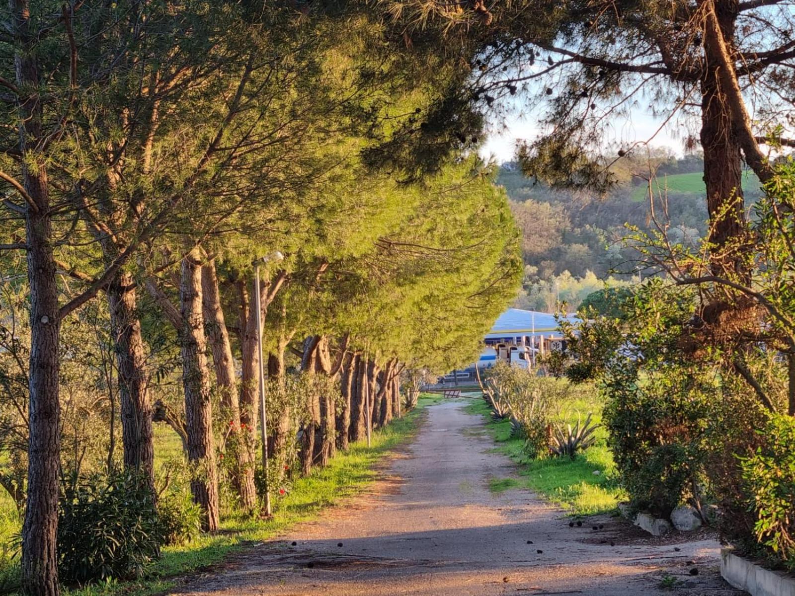 casale Don Ambrosio view 4