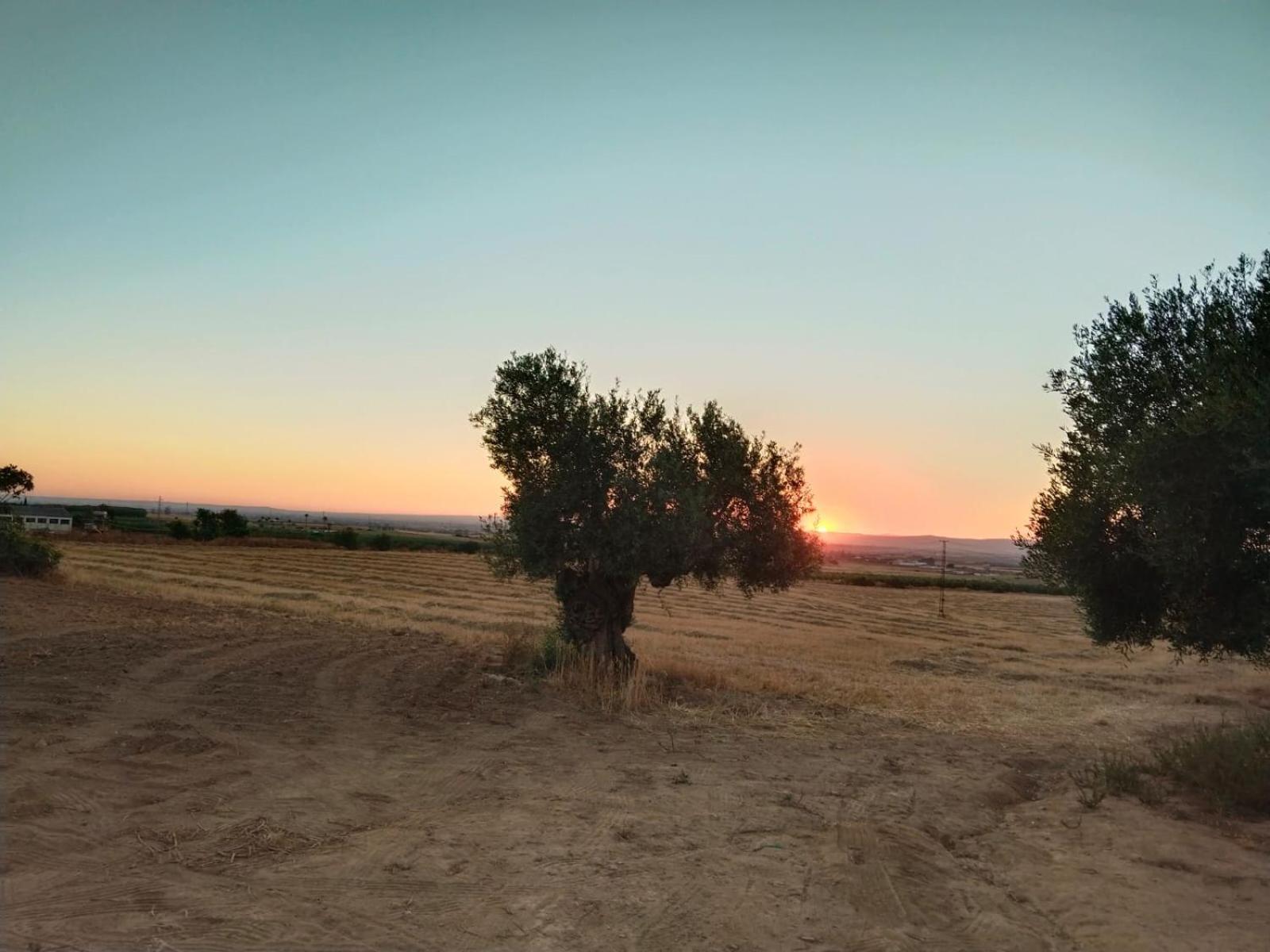 Casa rural Cerro Campón