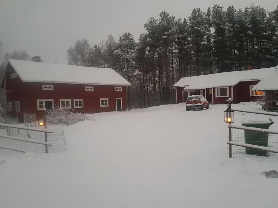 Santa's cottage