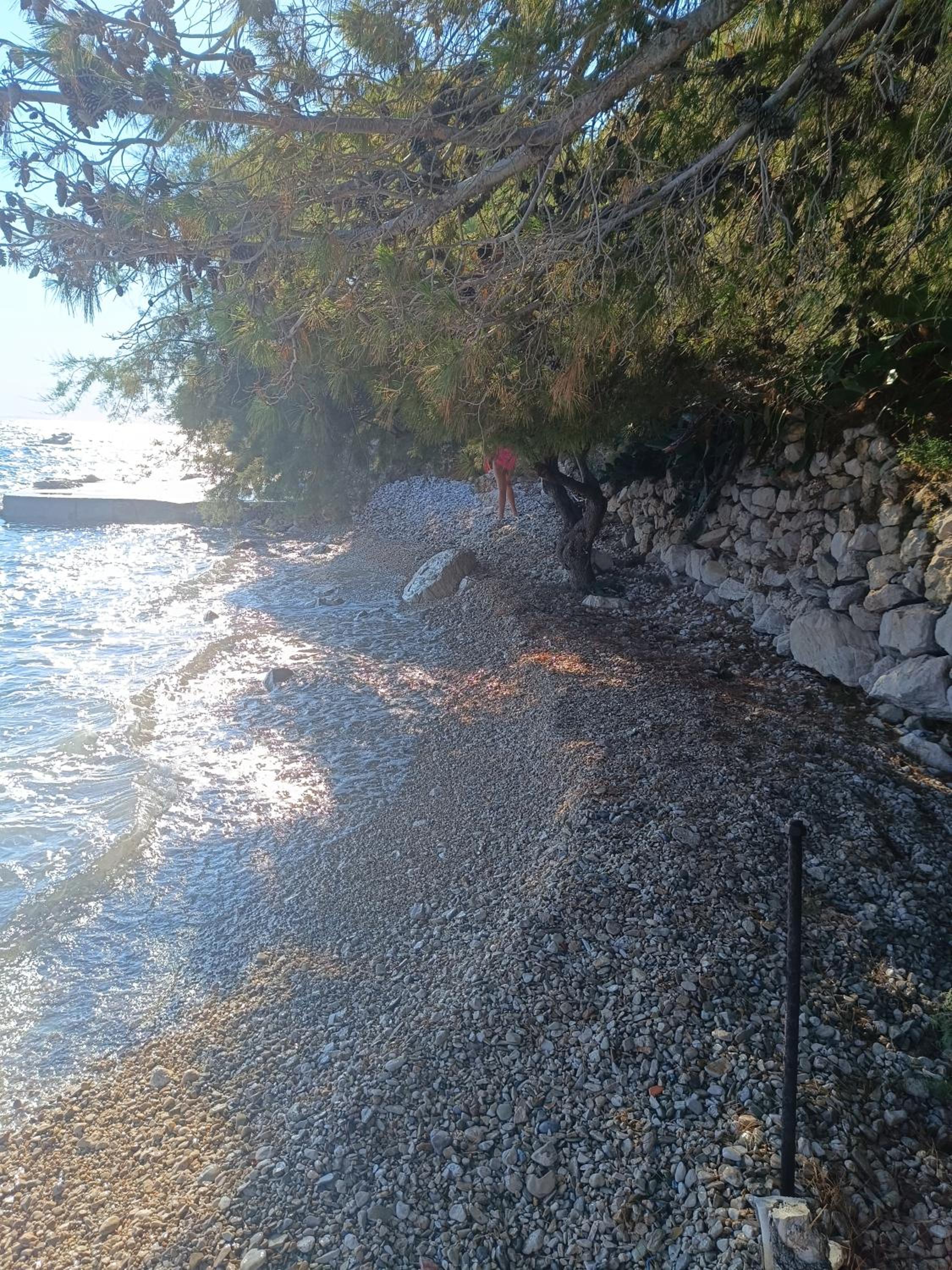 Photo 35