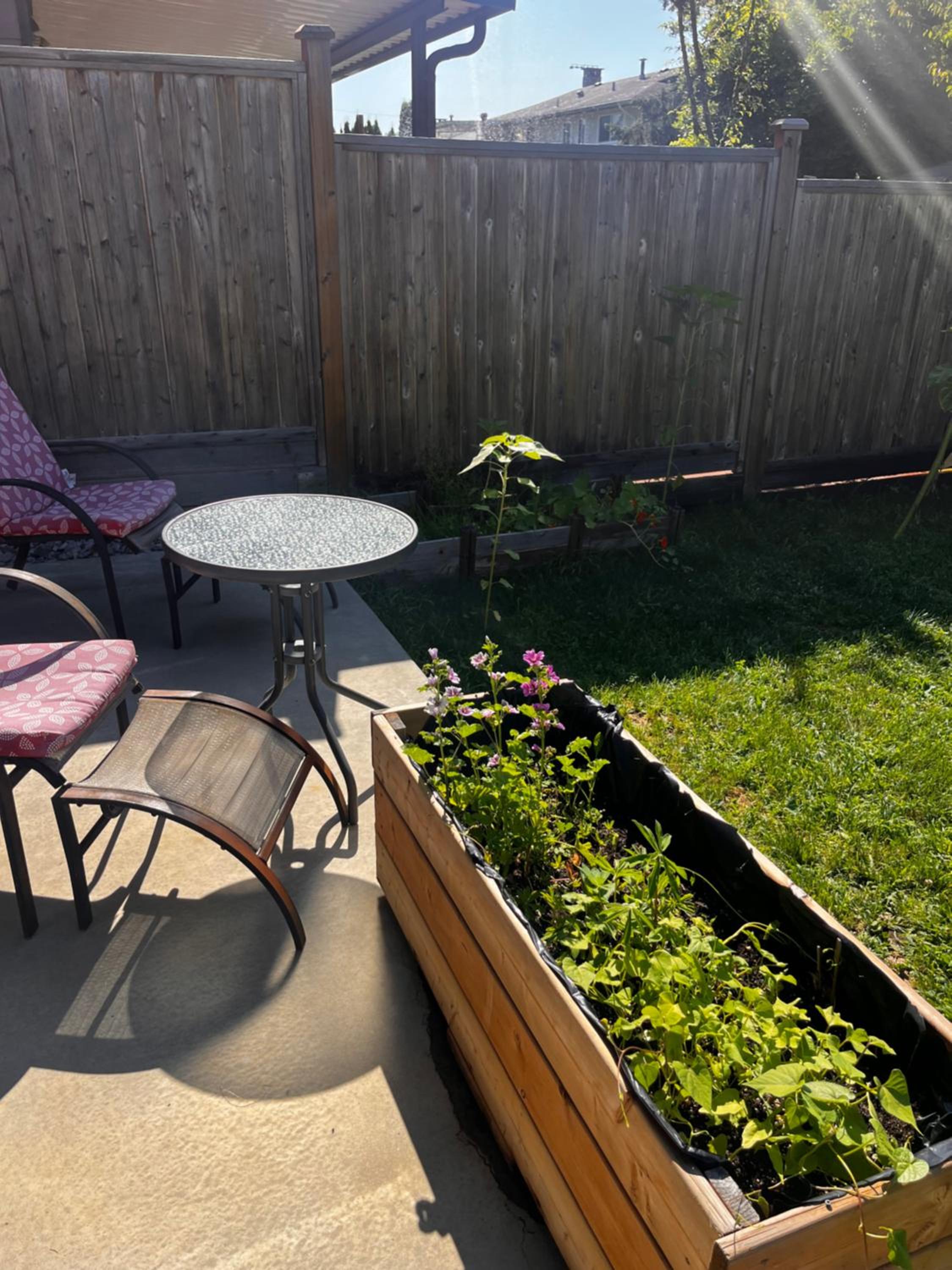 New, Spacious 2 Bedrooms in Downtown With Free Parking!