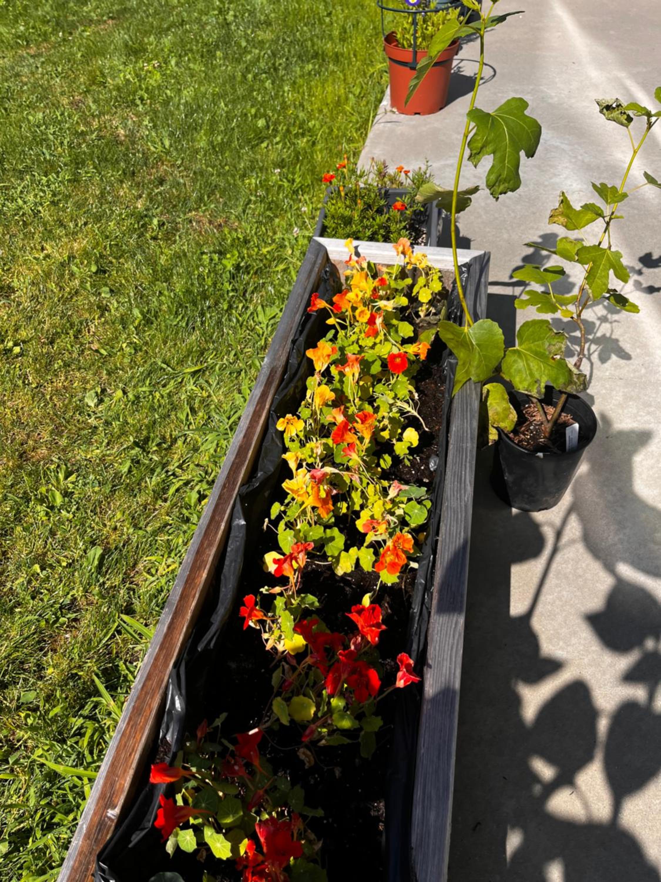New, Spacious 2 Bedrooms in Downtown With Free Parking!
