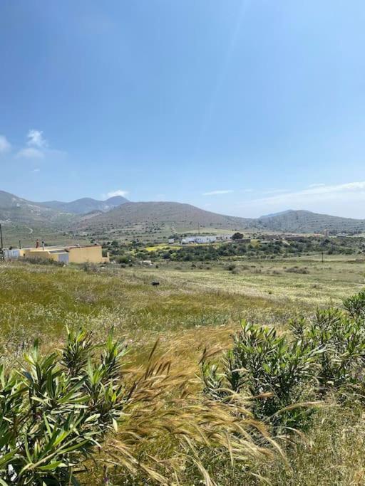 Casa Lupita