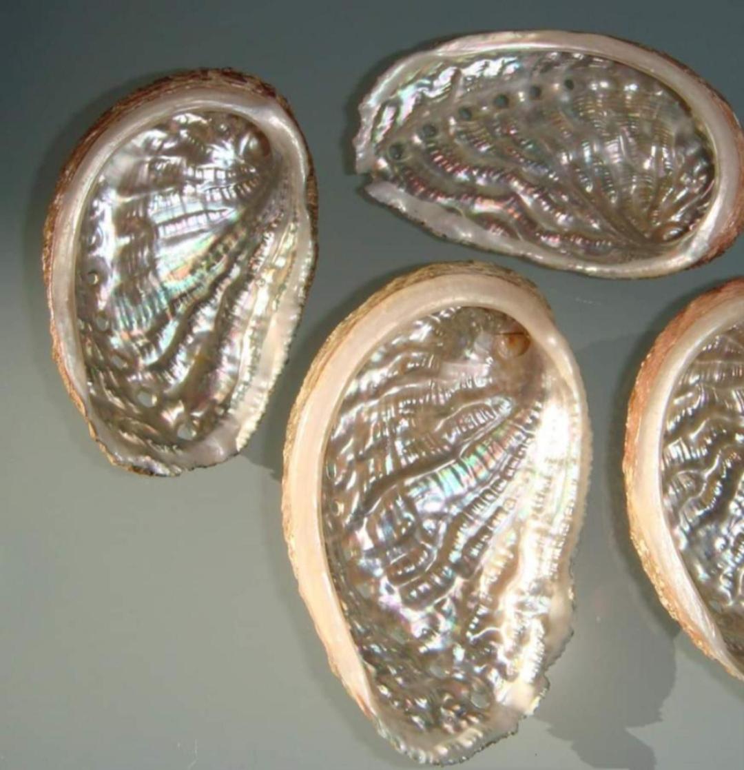 Laa Melossa Sarande