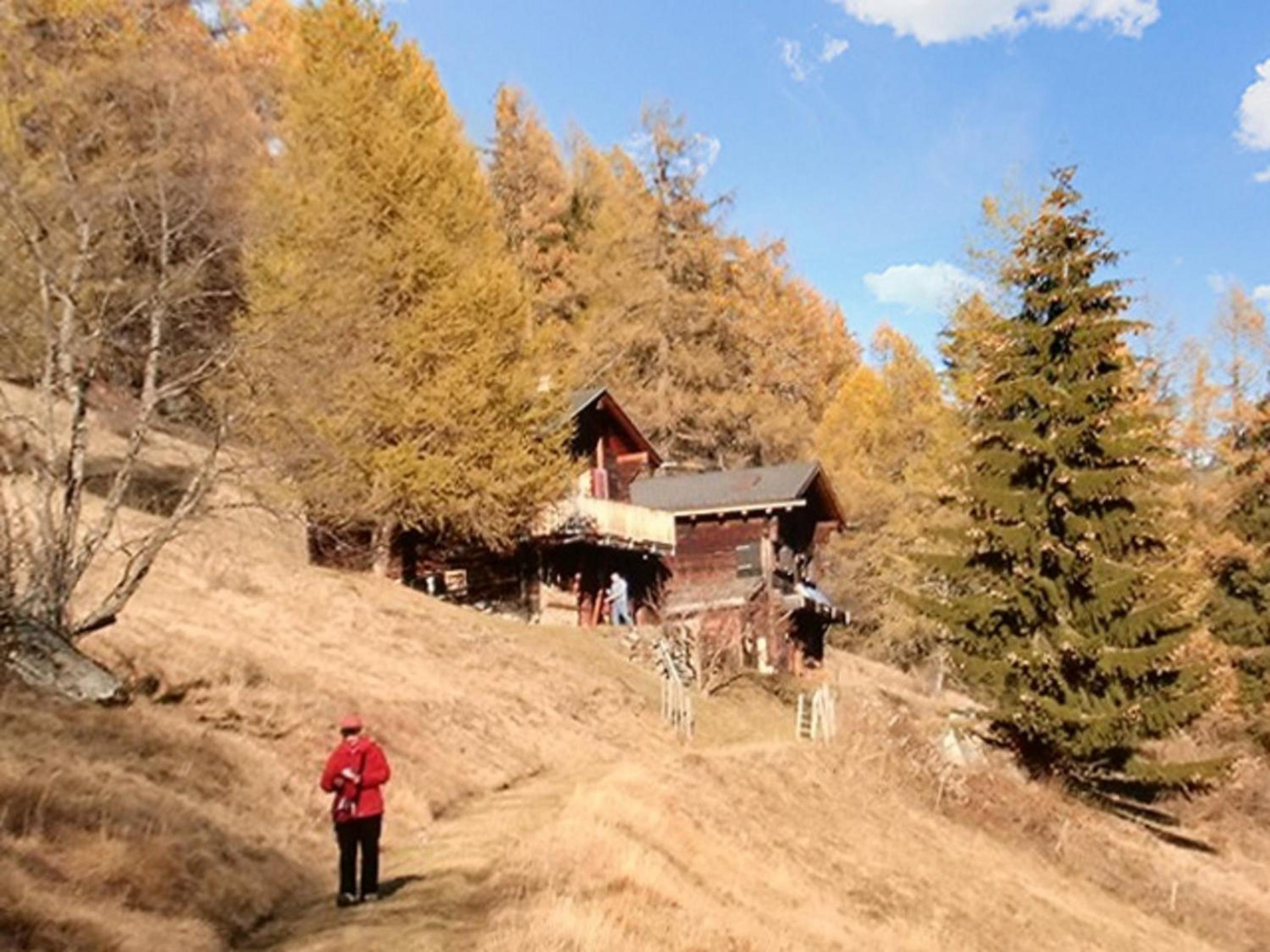 Cozy apartment in Bellwald 80 m² with mountain view
