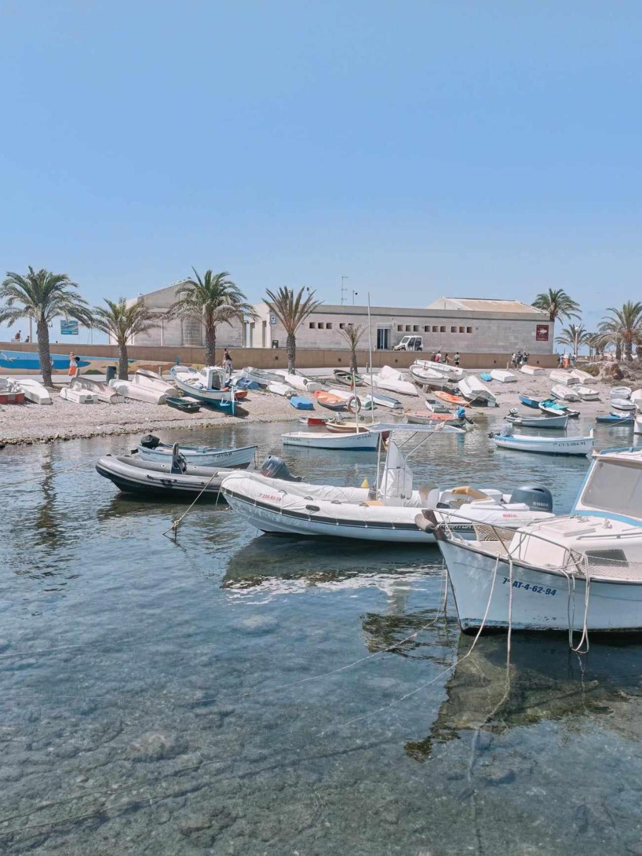 Appartement avec piscine à Algorfa