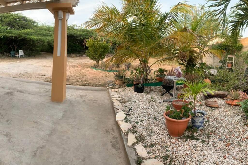 Studio apt in Aruba plus optional Portuguese cooking with Grandma