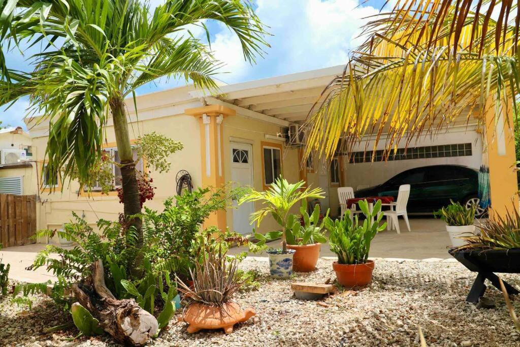 Studio apt in Aruba plus optional Portuguese cooking with Grandma