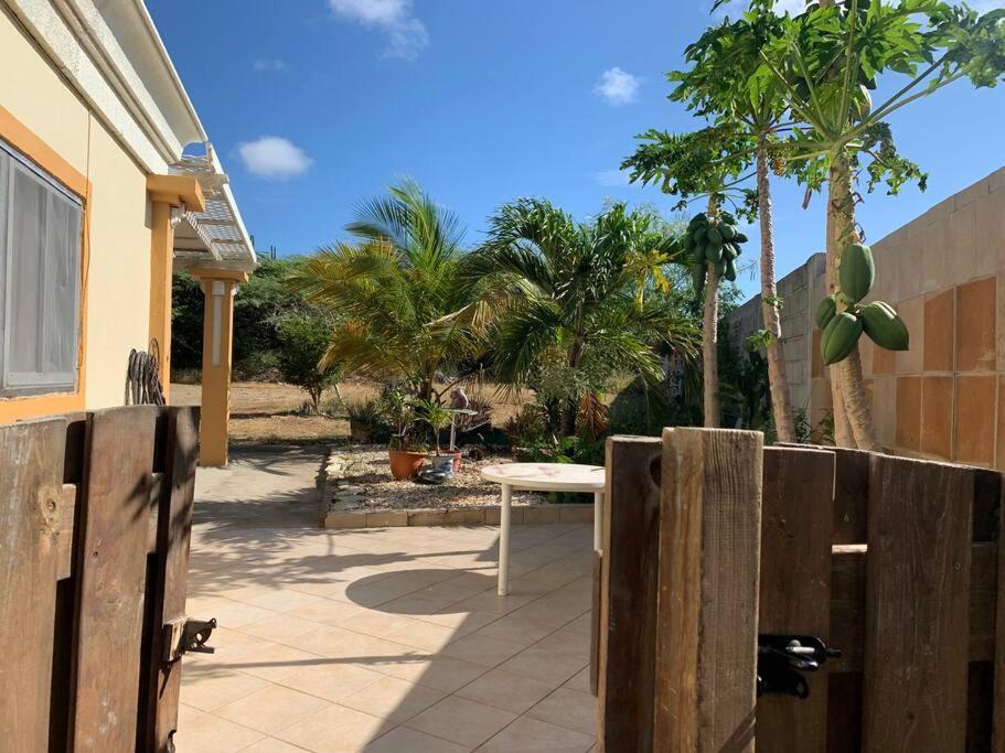 Studio apt in Aruba plus optional Portuguese cooking with Grandma