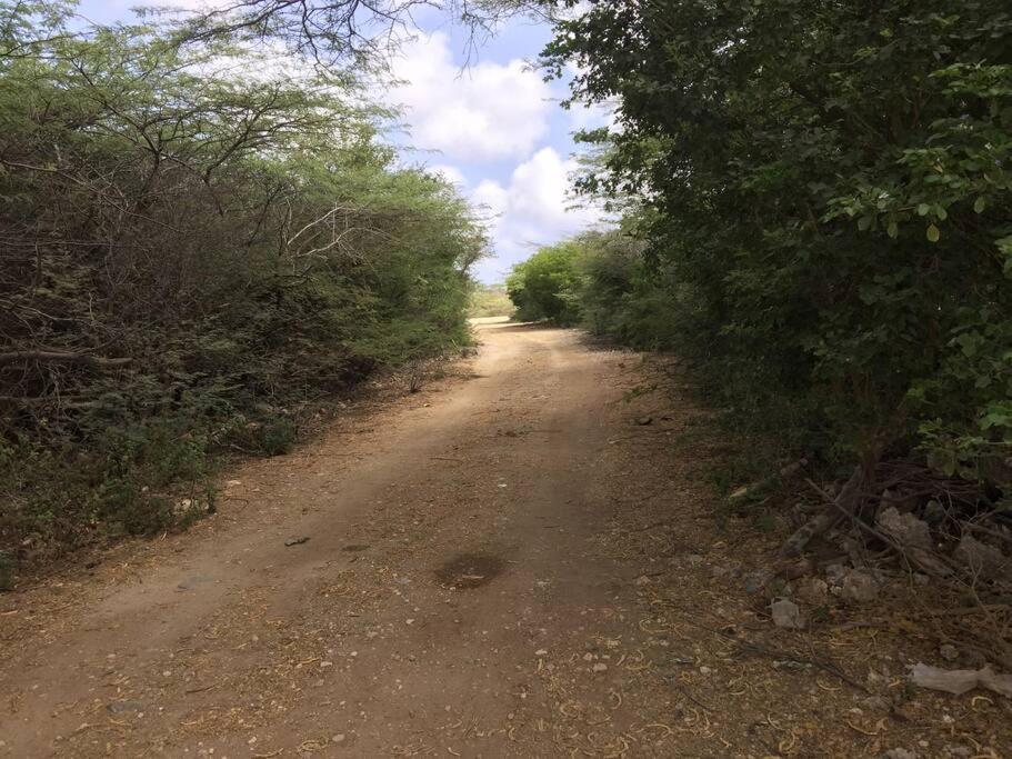 Studio apt in Aruba plus optional Portuguese cooking with Grandma