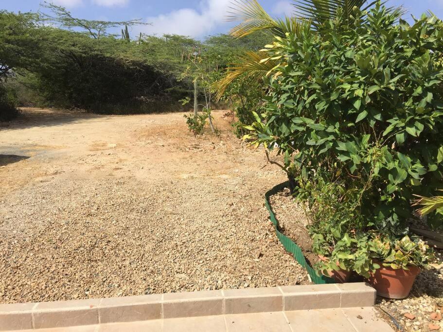Studio apt in Aruba plus optional Portuguese cooking with Grandma