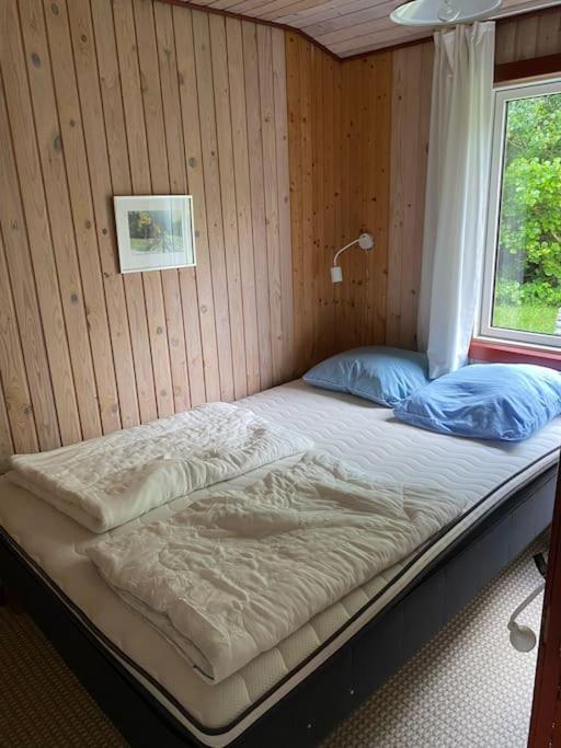 Traditionelt dansk sommerhus