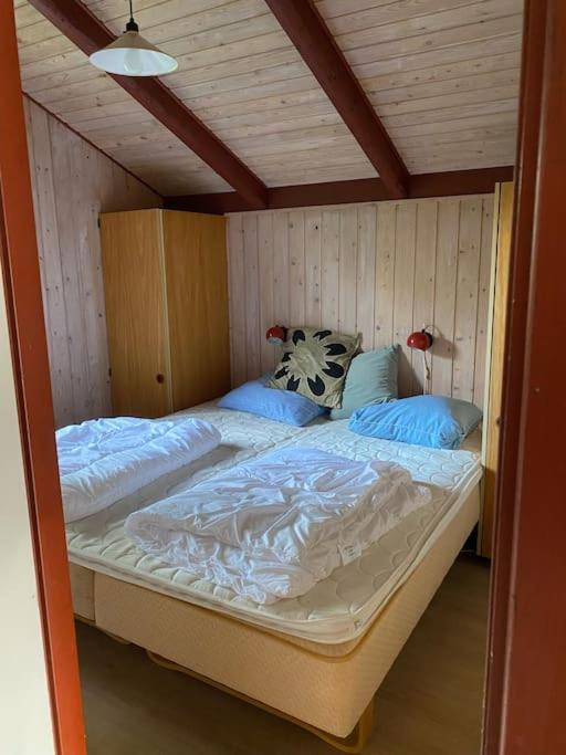 Traditionelt dansk sommerhus