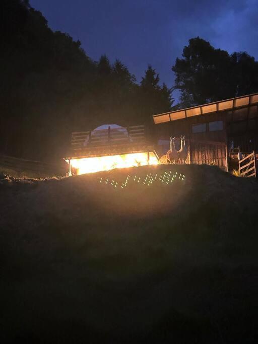 Luxury mountain top cabin steps away from Jericó